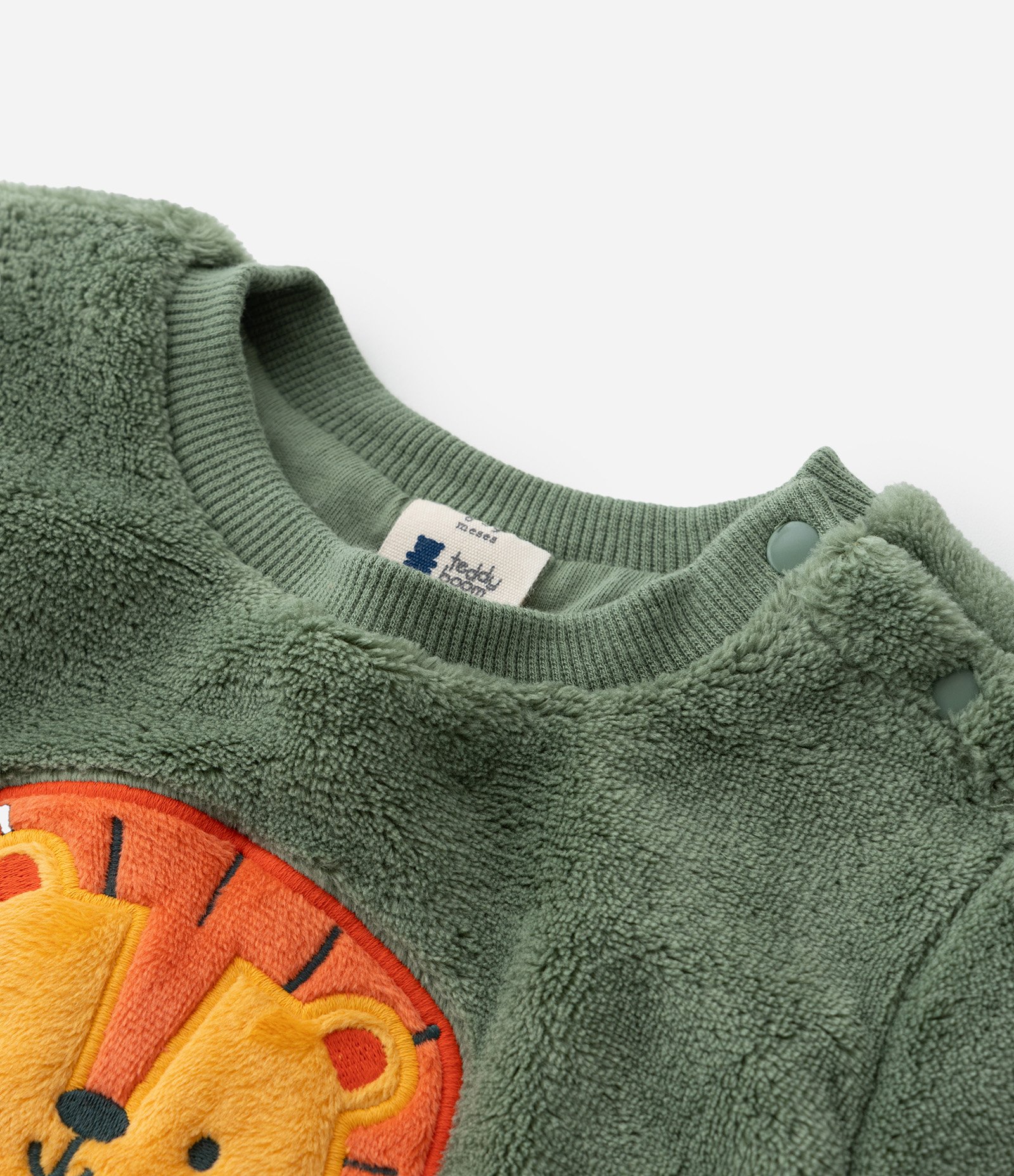 Conjunto Infantil em Fleece com Bordado de Leão - Tam 0 a 18 meses Verde 11