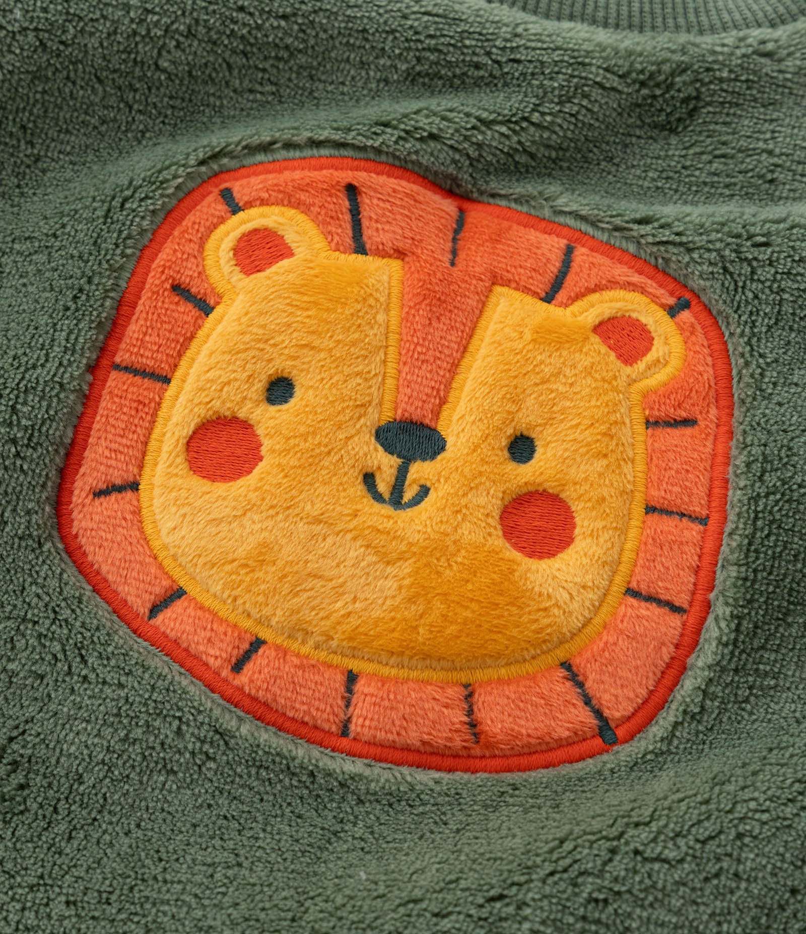 Conjunto Infantil em Fleece com Bordado de Leão - Tam 0 a 18 meses Verde 13