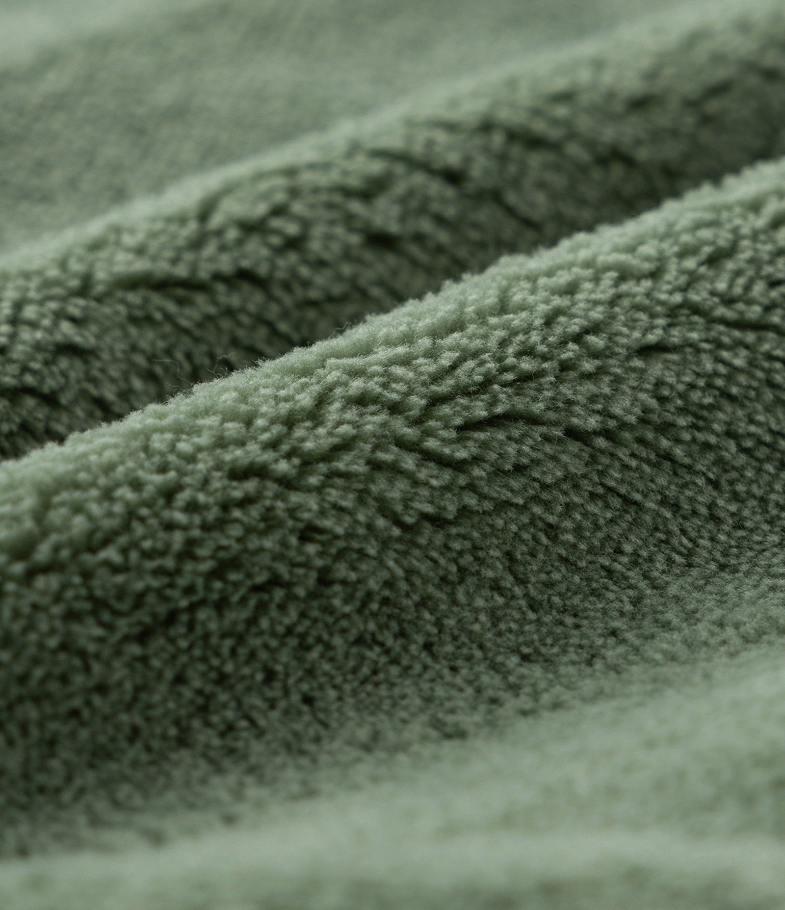 Conjunto Infantil em Fleece com Bordado de Leão - Tam 0 a 18 meses Verde 4