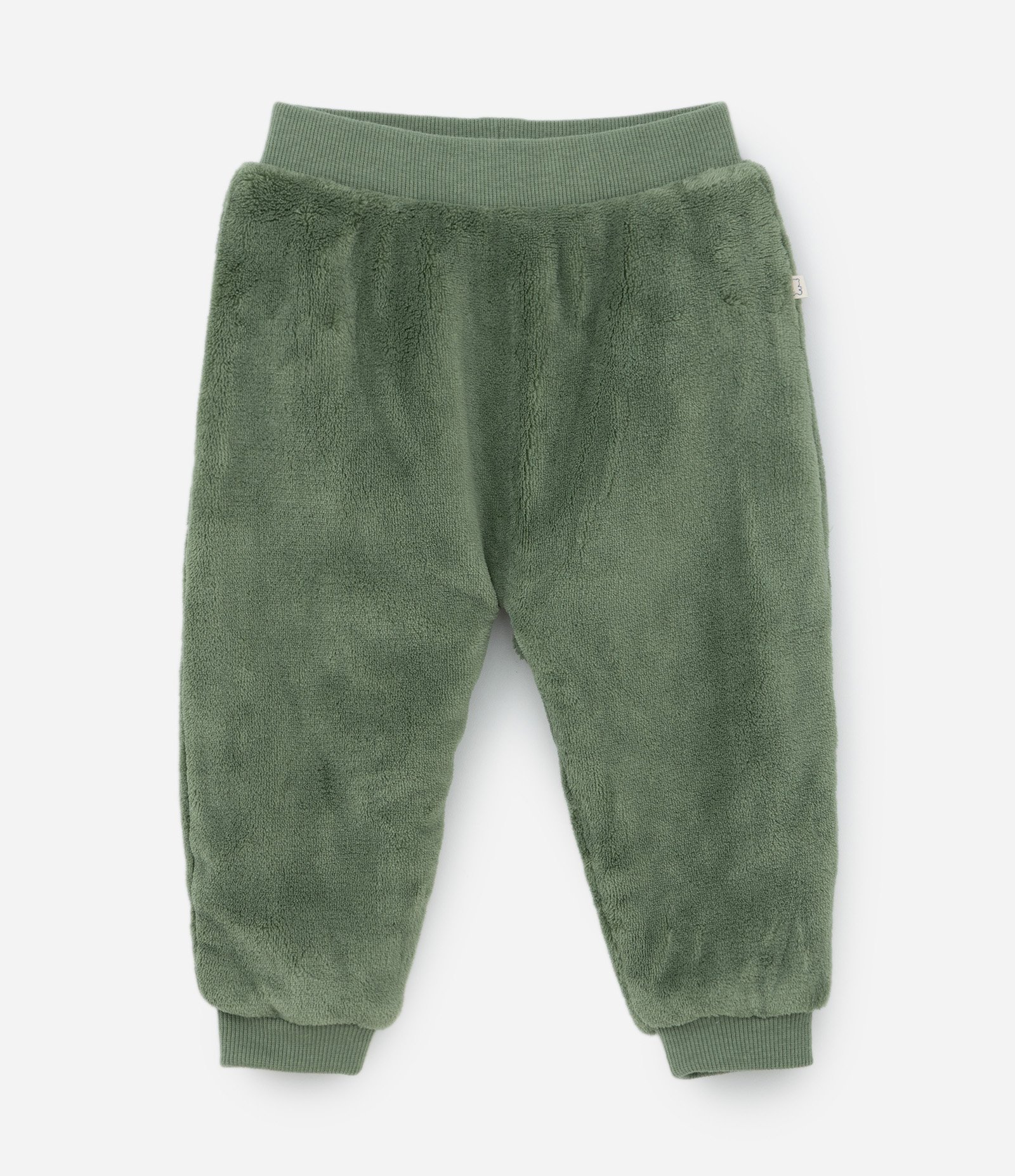 Conjunto Infantil em Fleece com Bordado de Leão - Tam 0 a 18 meses Verde 5