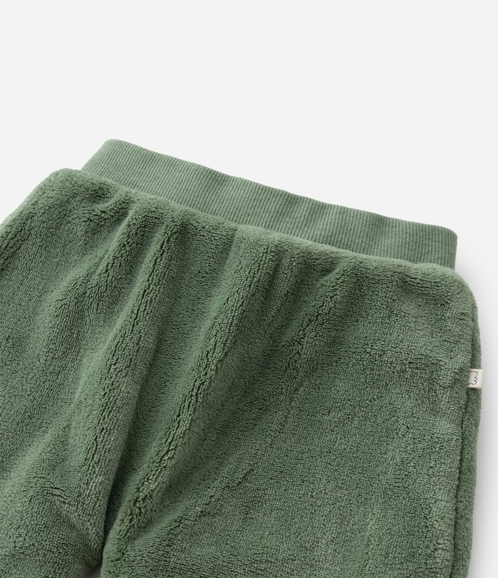 Conjunto Infantil em Fleece com Bordado de Leão - Tam 0 a 18 meses Verde 6