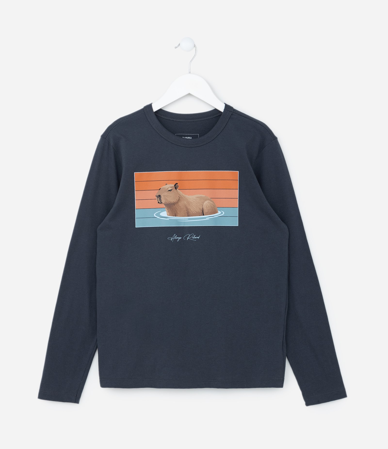 Camiseta Infantil com Estampa Capivara na Água - Tam 5 a 14 Anos Azul 1