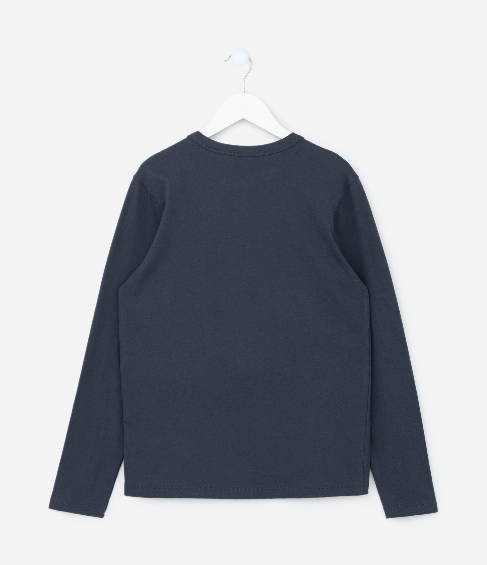 Camiseta Infantil com Estampa Capivara na Água - Tam 5 a 14 Anos Azul 2