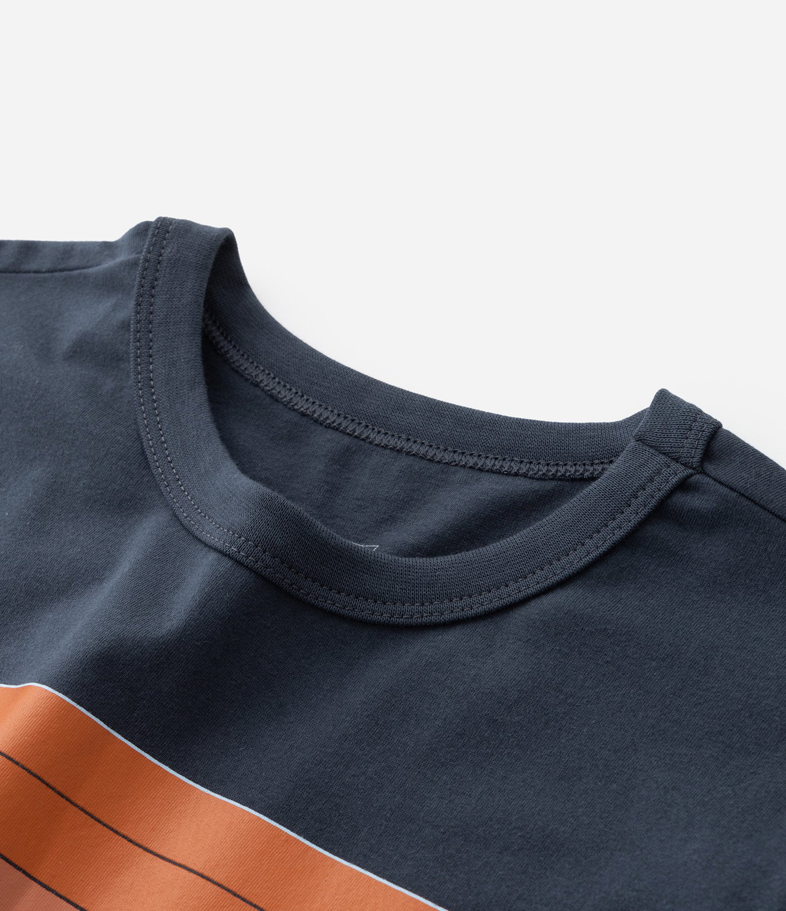 Camiseta Infantil com Estampa Capivara na Água - Tam 5 a 14 Anos Azul 4