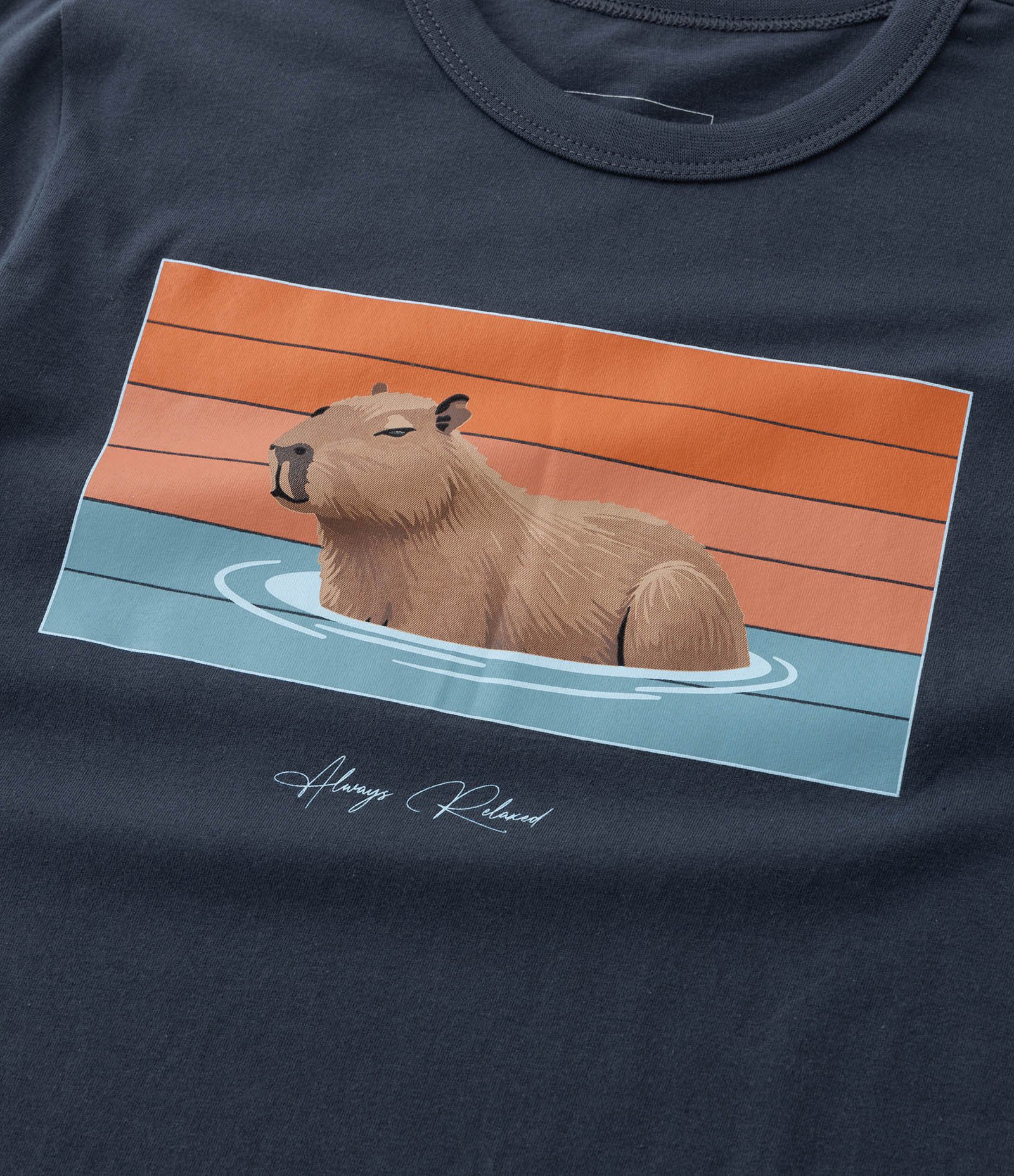 Camiseta Infantil com Estampa Capivara na Água - Tam 5 a 14 Anos Azul 5