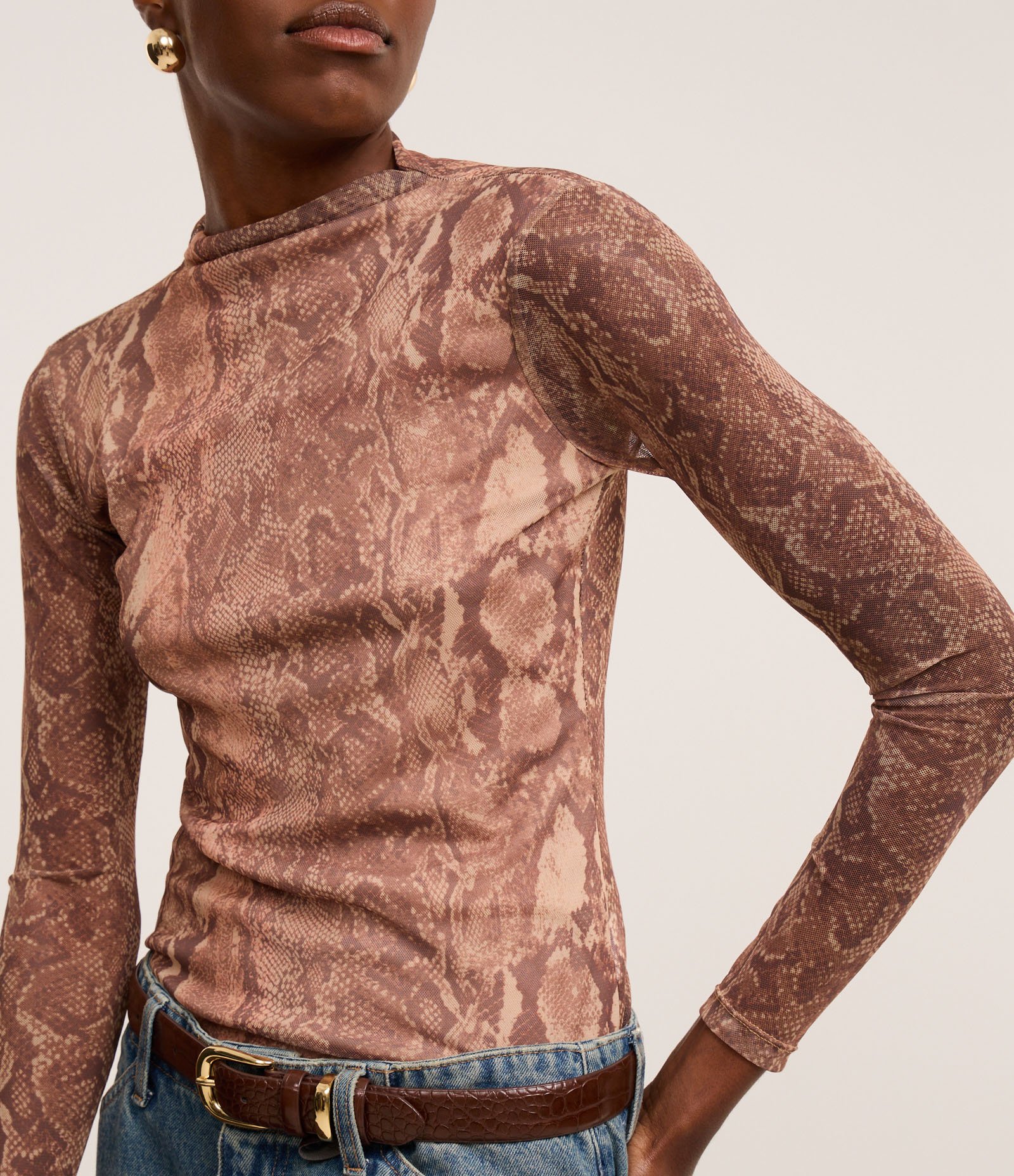 Blusa em Tule com Gola Alta e Estampa Serpente Marrom 4