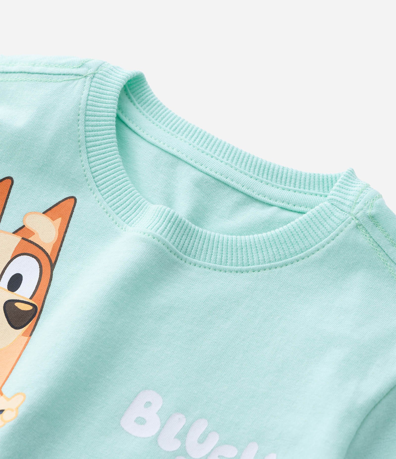 Camiseta Infantil com Estampa Bluey e Bingo - Tam 2 a 6 Anos Verde 4