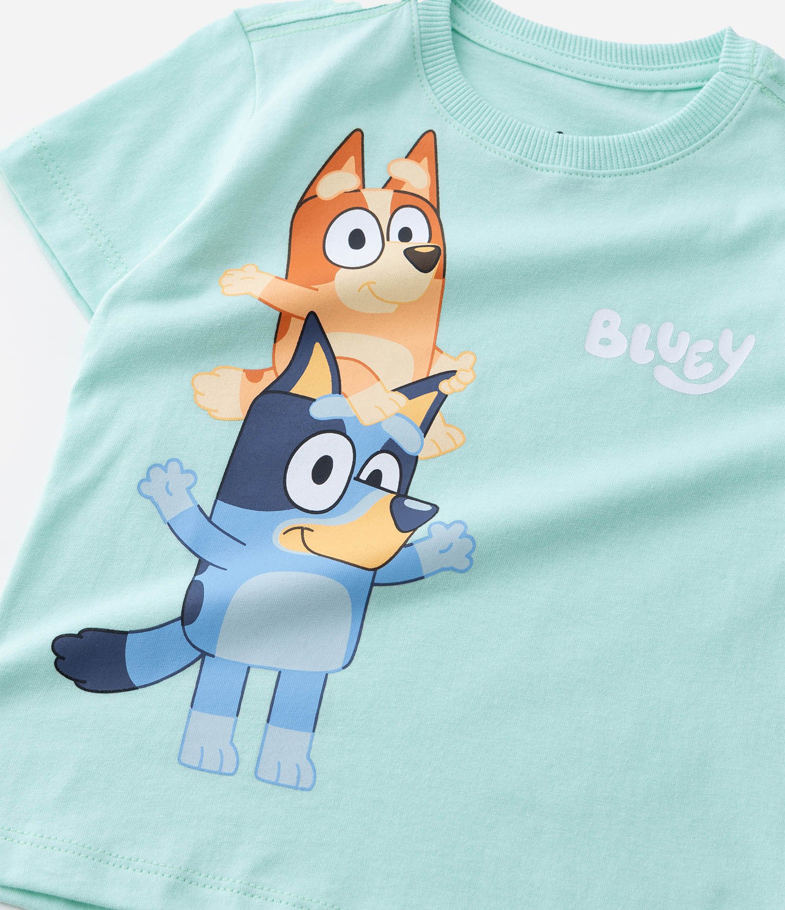 Camiseta Infantil com Estampa Bluey e Bingo - Tam 2 a 6 Anos Verde 5