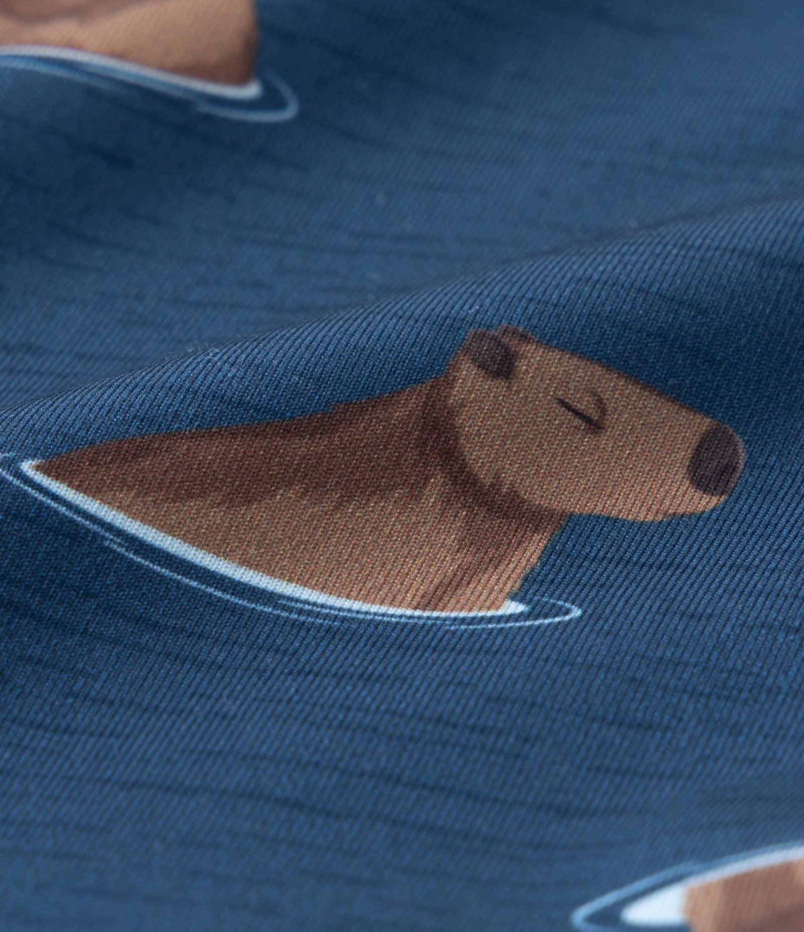 Sunga Infantil em Microfibra com Estampa de Capivaras - Tam 5 ao 14 Anos Azul 3