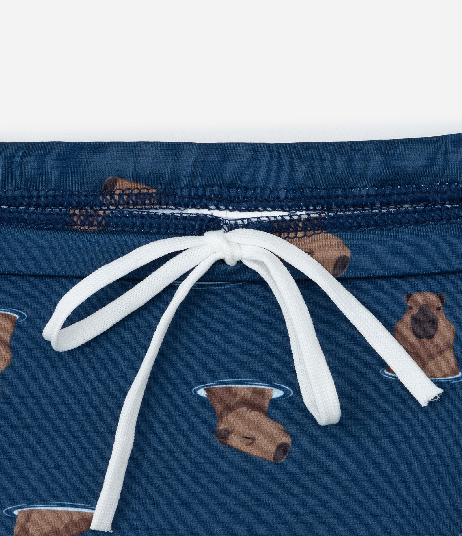 Sunga Infantil em Microfibra com Estampa de Capivaras - Tam 5 ao 14 Anos Azul 4