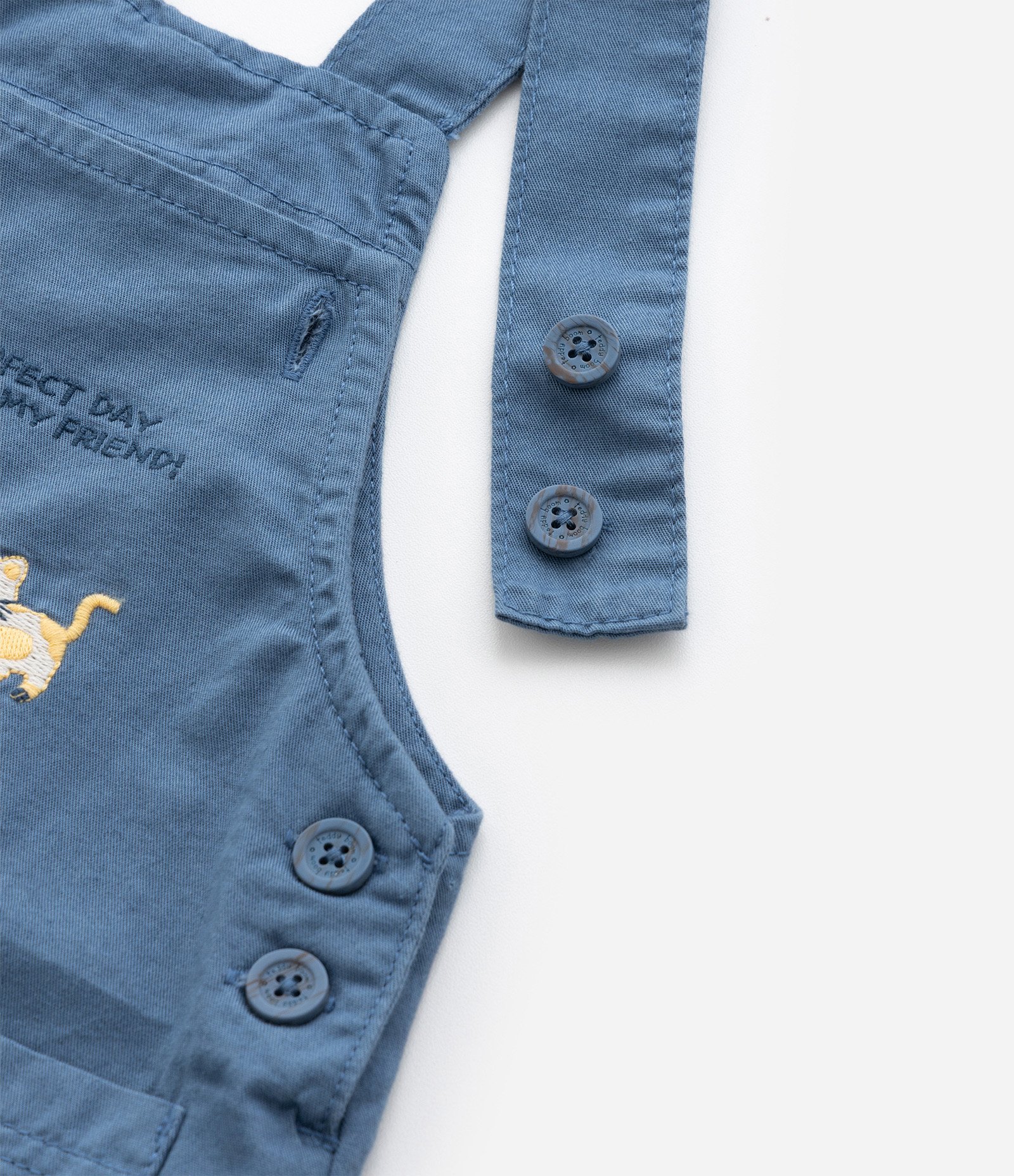 Jardineira Infantil com Bordado Bichinhos no Parquinho - Tam 3 a 18 meses Azul 6