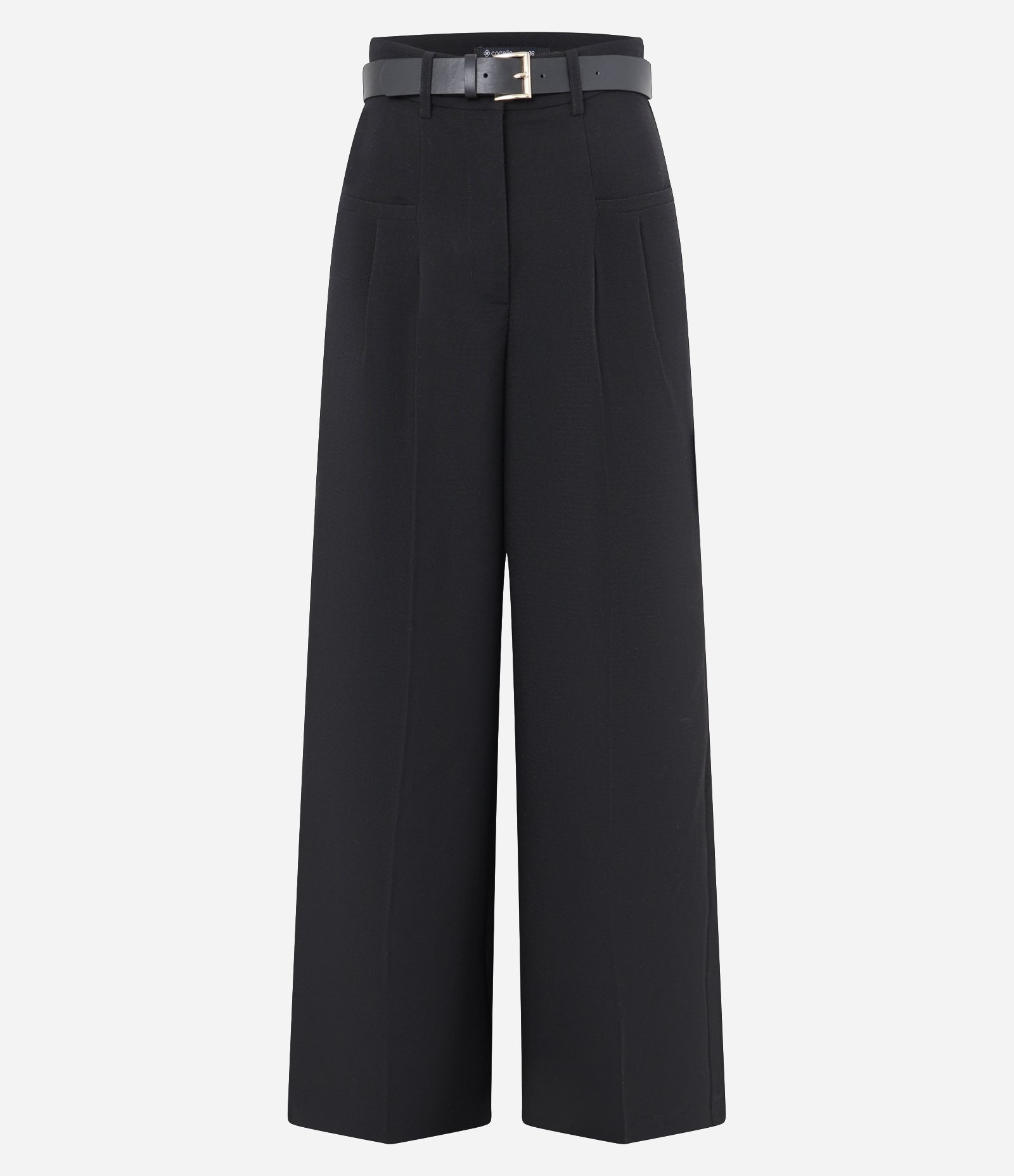 Calça Wide Leg em Alfaiataria com Pregas e Cinto Preto 6