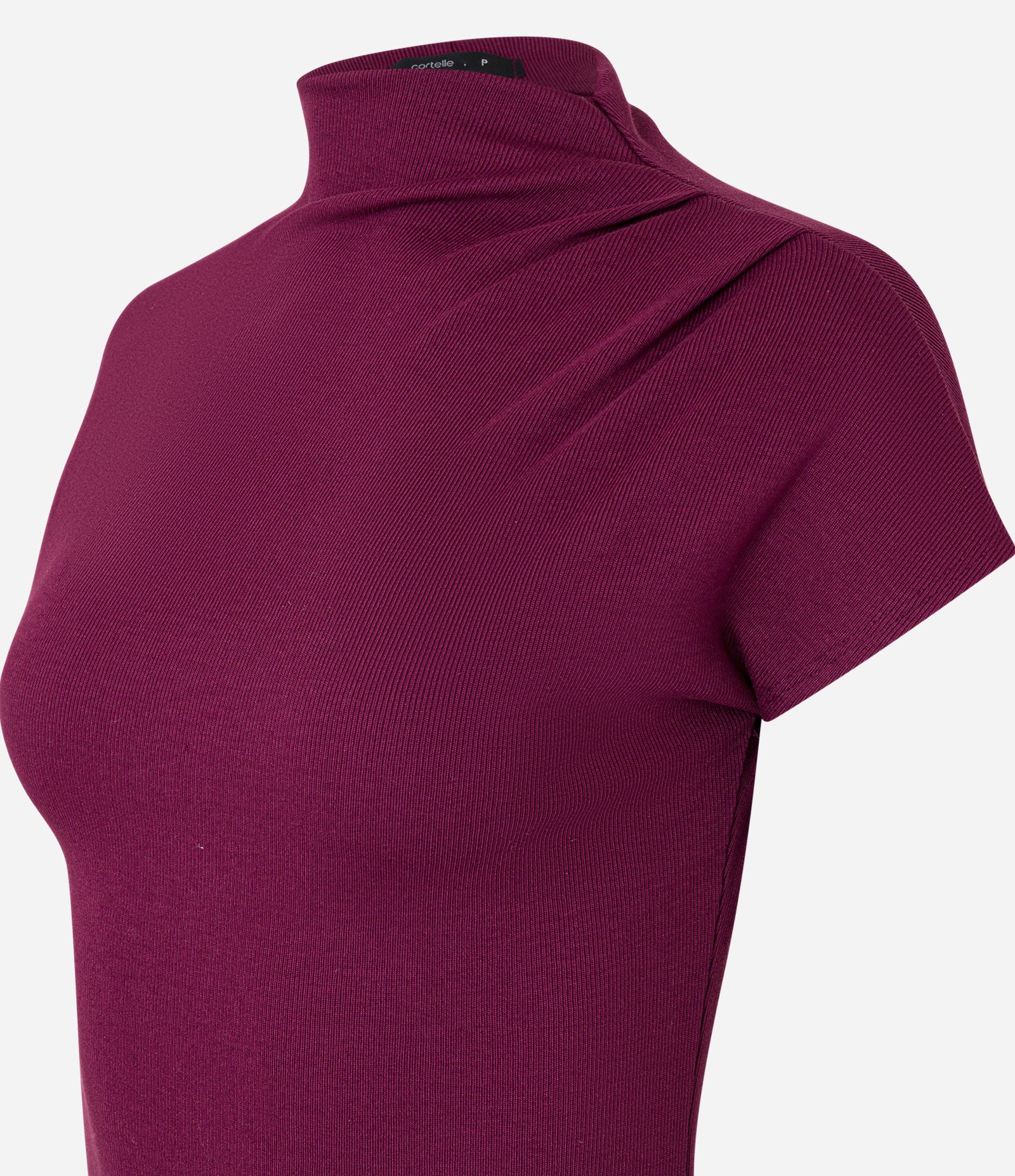 Blusa em Viscose Seamless com Golinha Alta Vinho 6