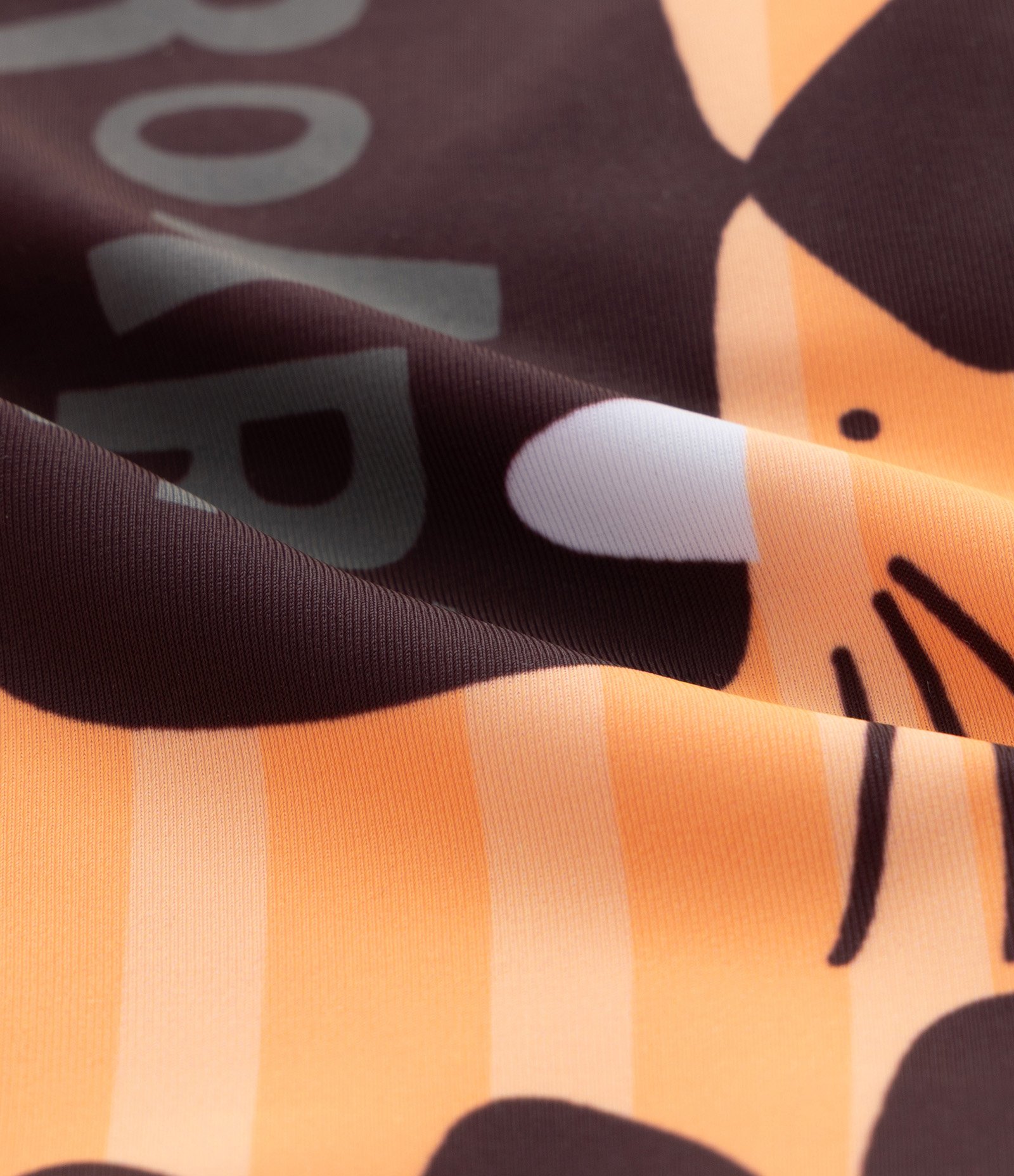 Sunga Infantil Boxer em Microfibra com Estampa de Tigre - Tam 2 a 4 Anos Laranja 3