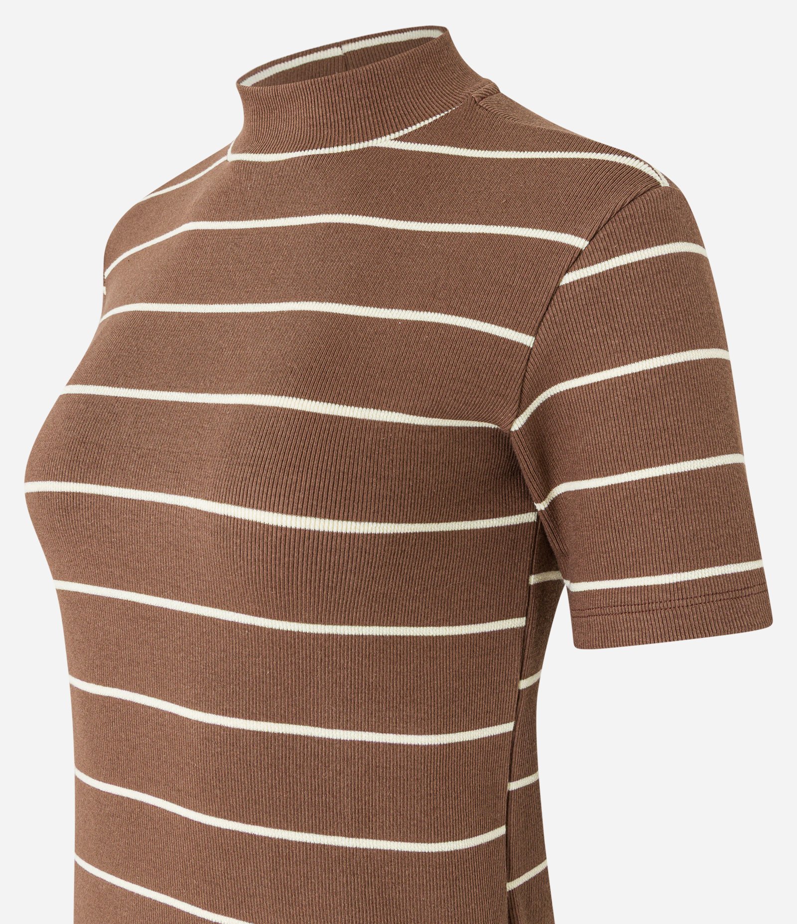 Blusa em Ribana com Golinha Média e Estampa Listrada Marrom 6