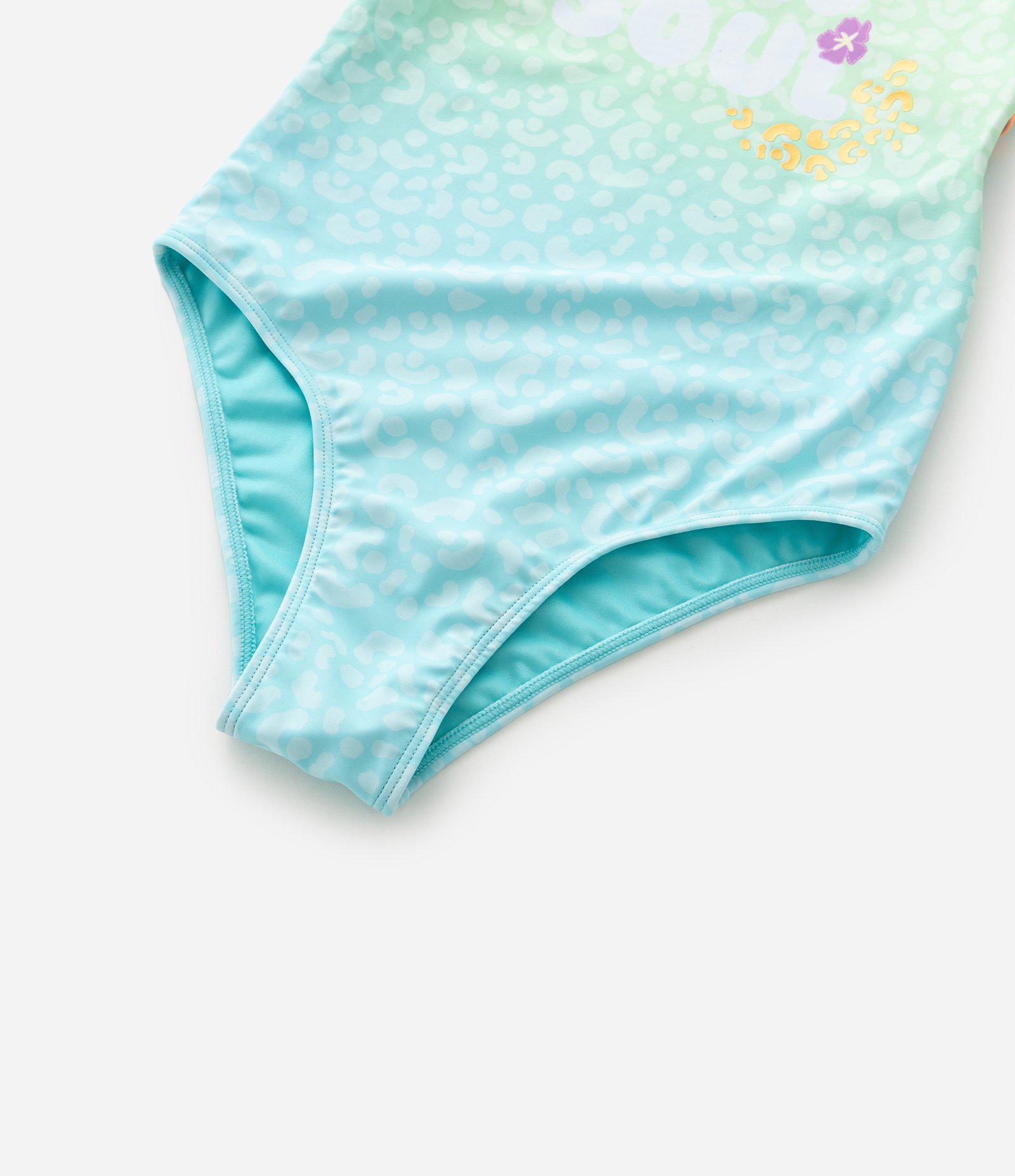 Maiô Infantil com Estampa Degradê Animal Print - Tam 5 a 14 Anos Verde/Azul 5