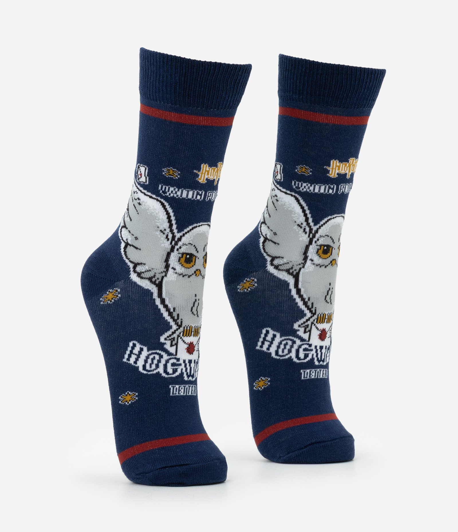 Meia Cano Alto em Algodão com Estampa Coruja Edwiges Harry Potter Azul 2