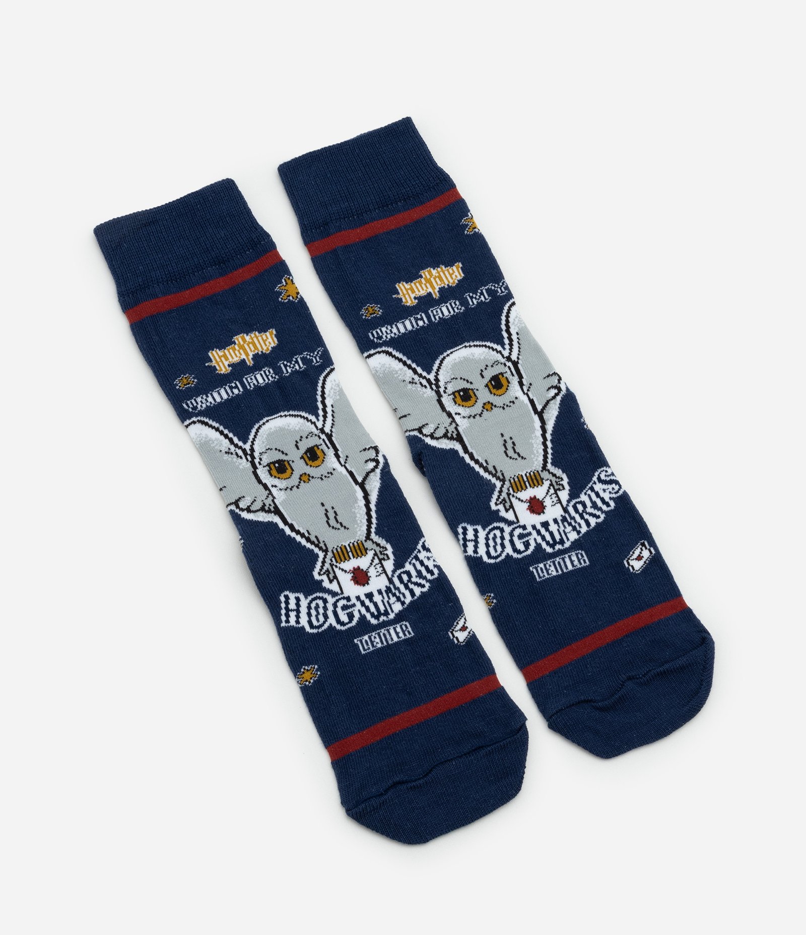 Meia Cano Alto em Algodão com Estampa Coruja Edwiges Harry Potter Azul 4