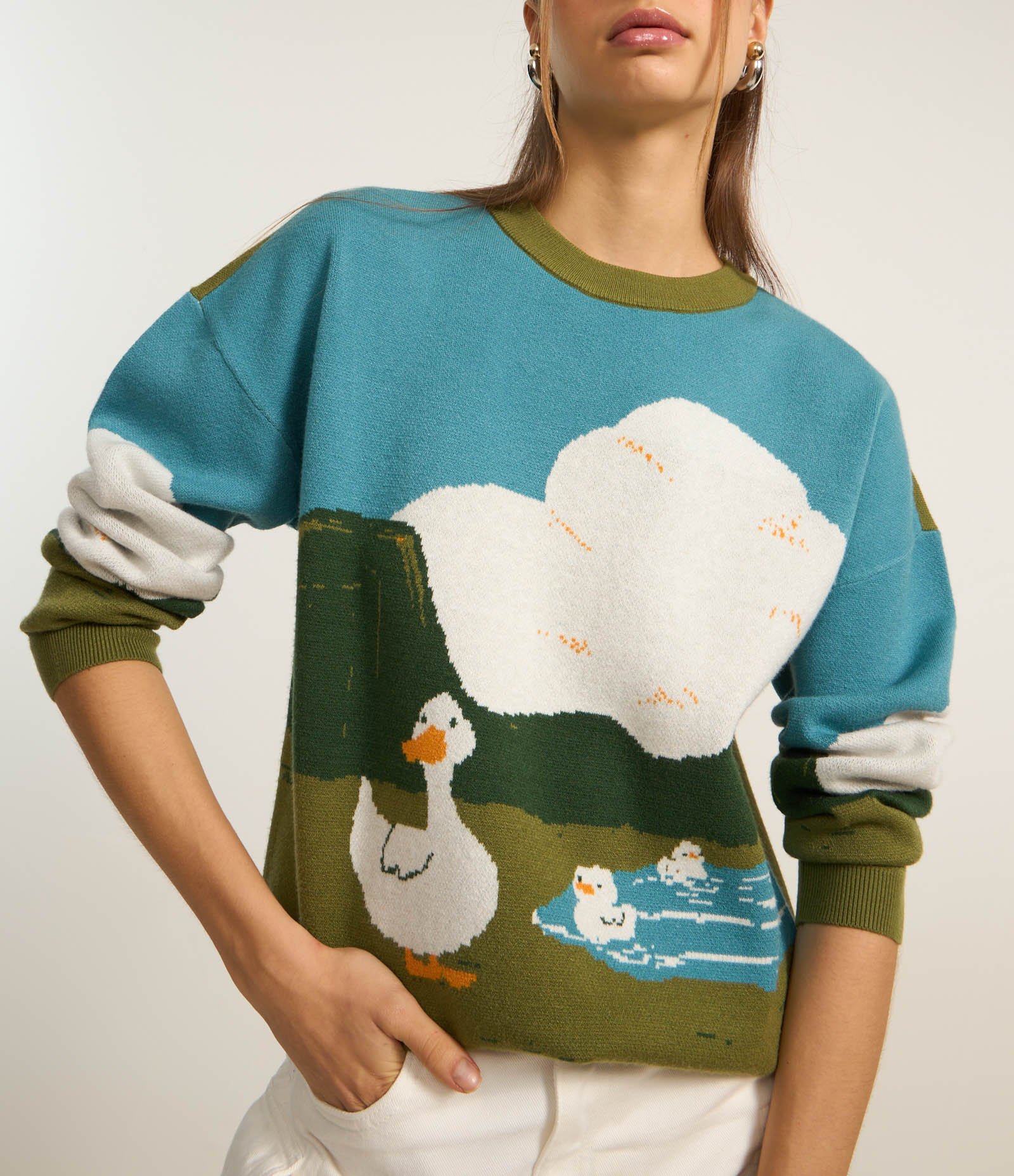 Suéter em Jacquard com Estampa Patinhos na Lagoa Multicores 3