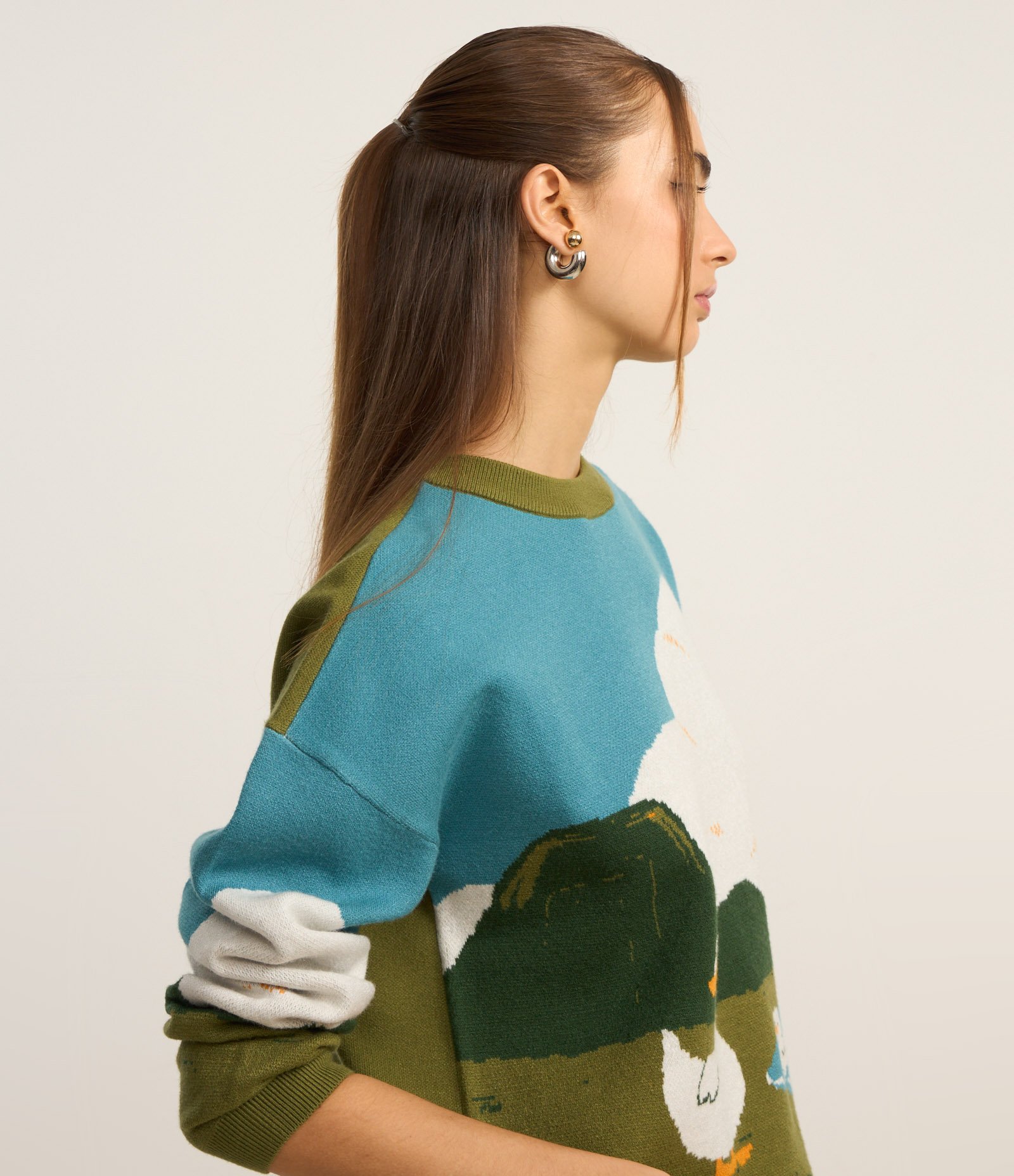 Suéter em Jacquard com Estampa Patinhos na Lagoa Multicores 4