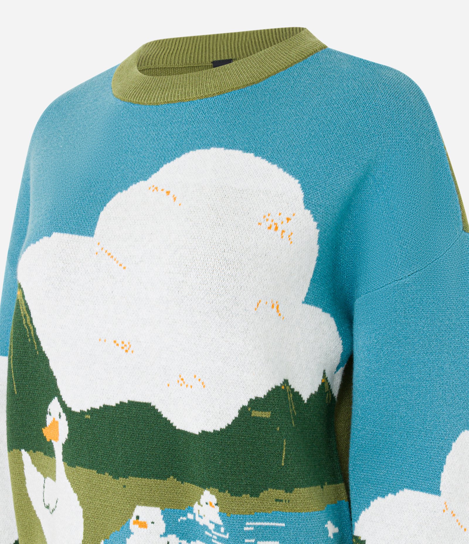 Suéter em Jacquard com Estampa Patinhos na Lagoa Multicores 8