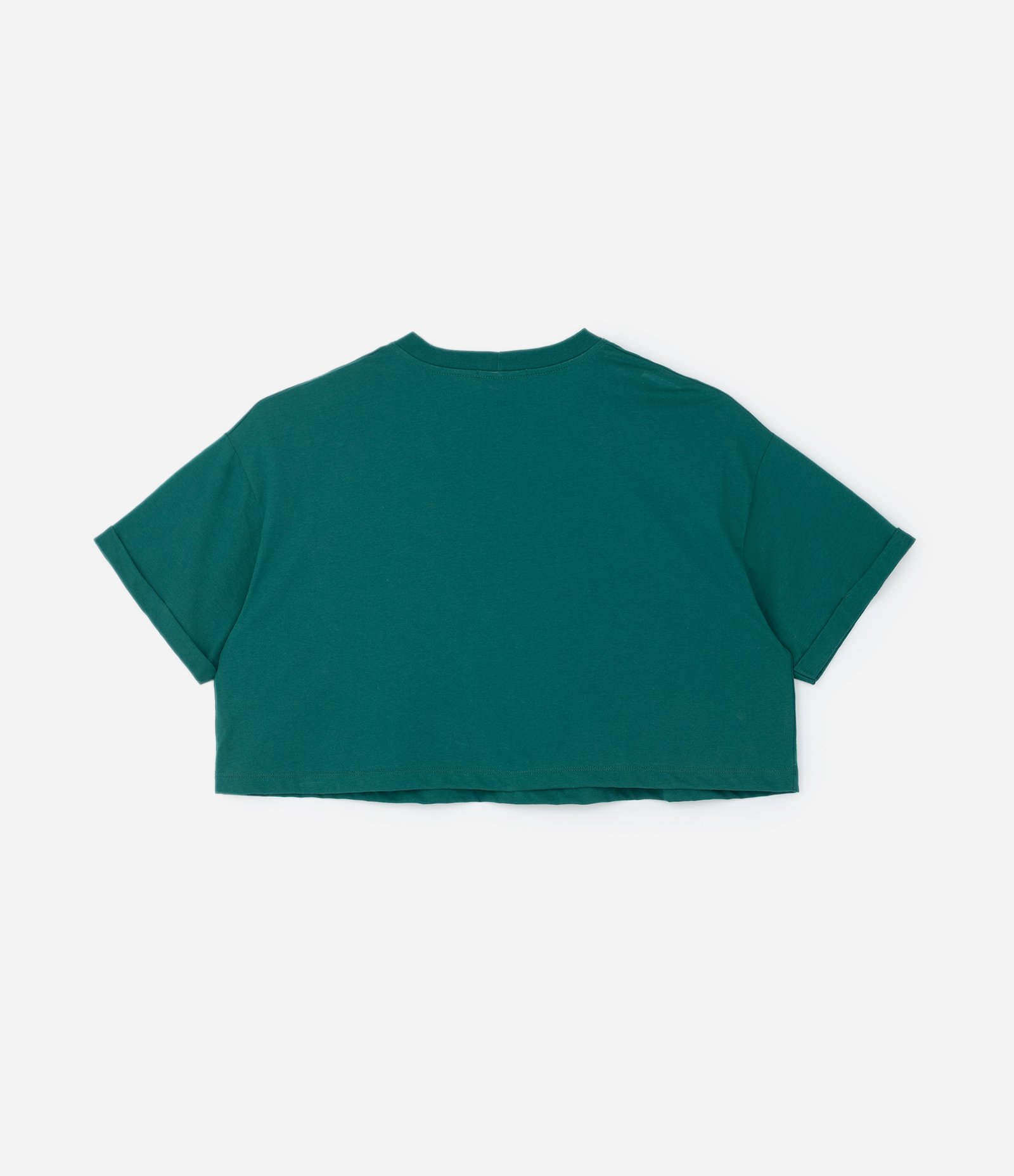 Blusa T-Shirt Cropped com Bordado de Cactus Curve & Plus Size Verde 4
