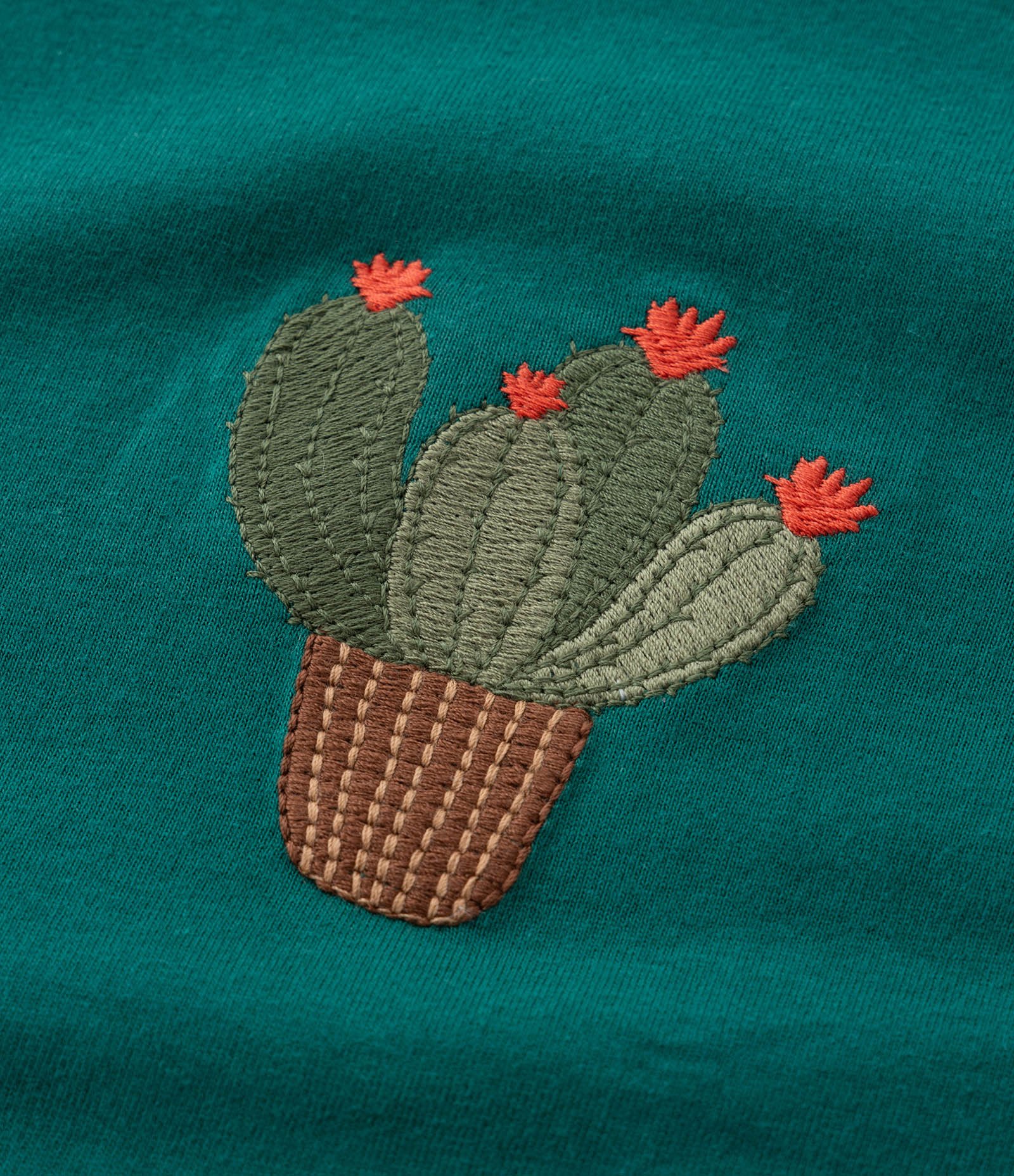 Blusa T-Shirt Cropped com Bordado de Cactus Curve & Plus Size Verde 5