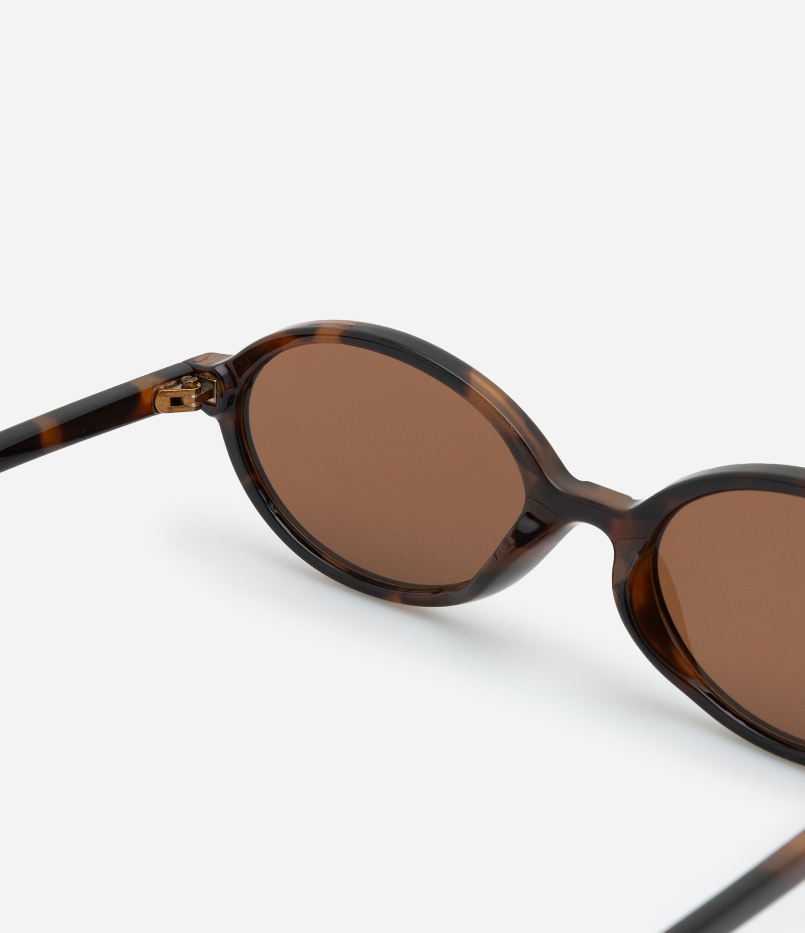 Óculos De Sol Redondo Pequeno Tartaruga Marrom 3