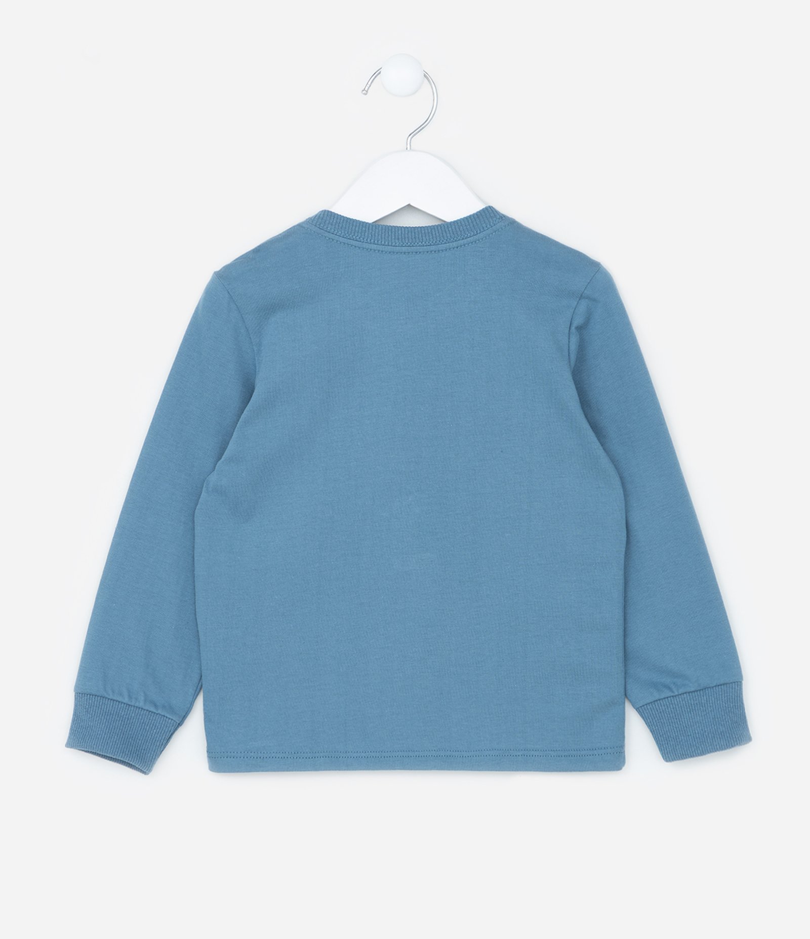 Camiseta Infantil com Bordado Capivarinhas - Tam 1 a 6 Anos Azul 2