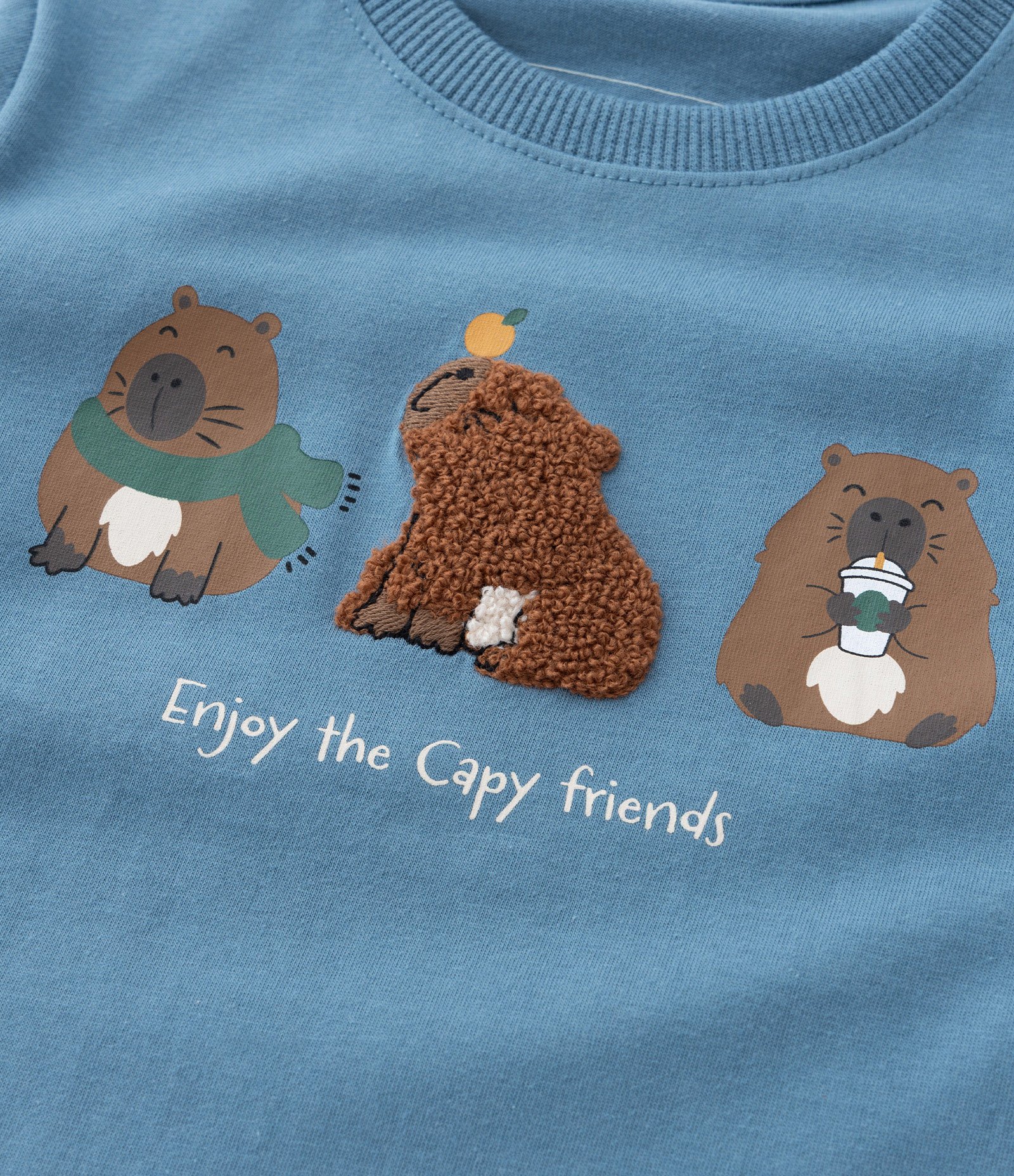 Camiseta Infantil com Bordado Capivarinhas - Tam 1 a 6 Anos Azul 5