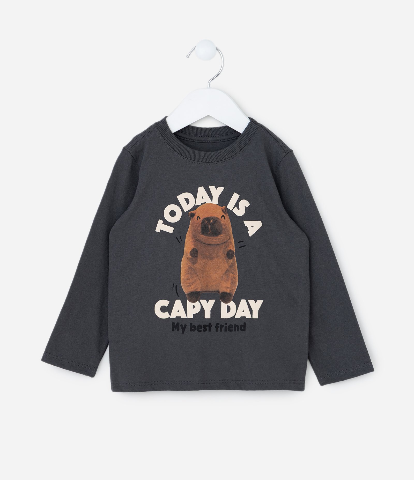 Camiseta Infantil com Estampa Capivara Capy Day - Tam 1 a 6 Anos Cinza 1