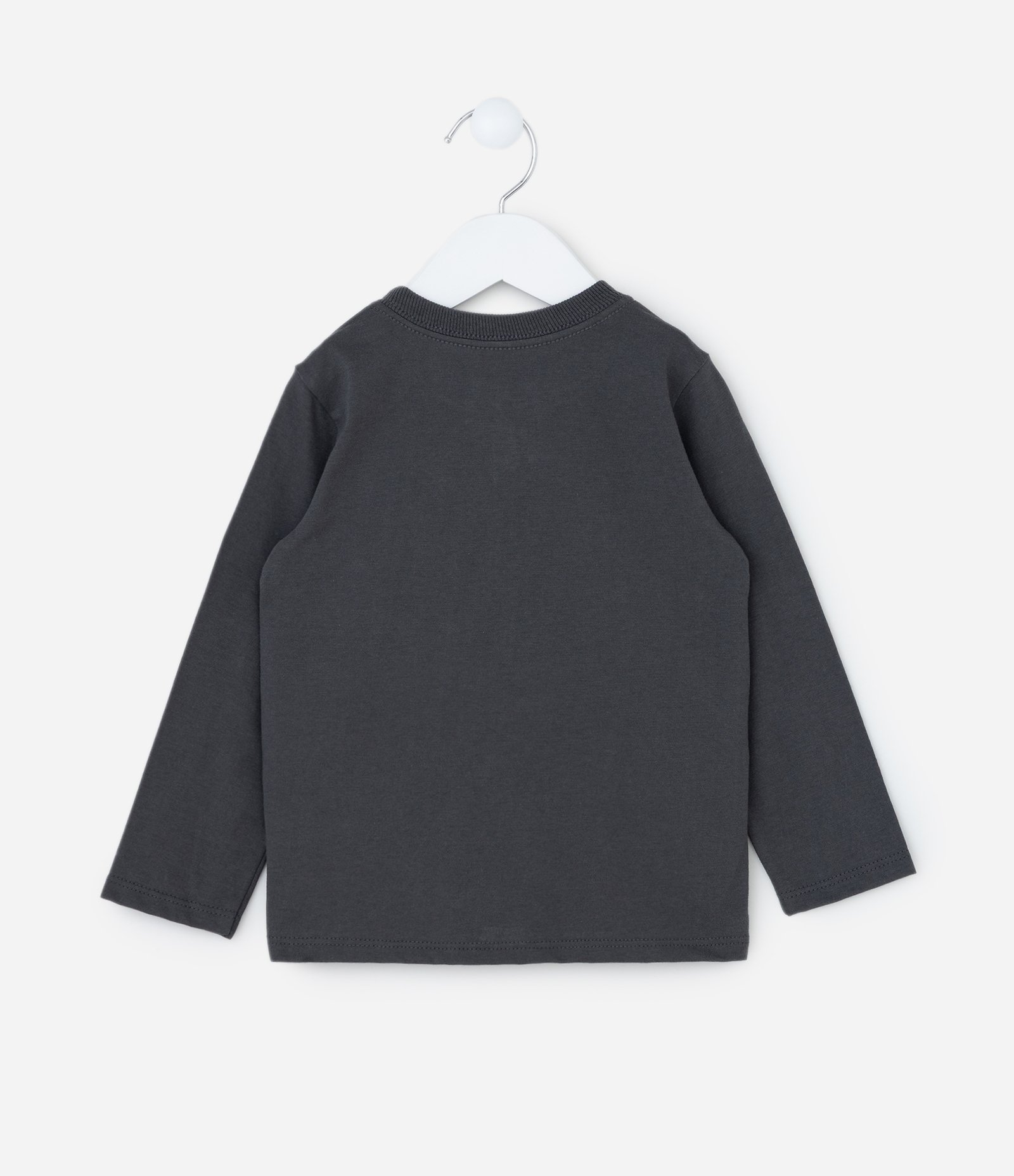 Camiseta Infantil com Estampa Capivara Capy Day - Tam 1 a 6 Anos Cinza 2