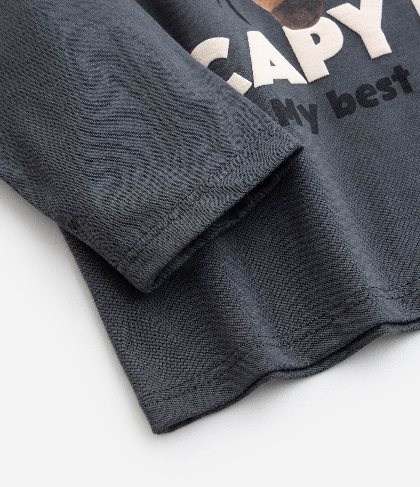 Camiseta Infantil com Estampa Capivara Capy Day - Tam 1 a 6 Anos Cinza 4