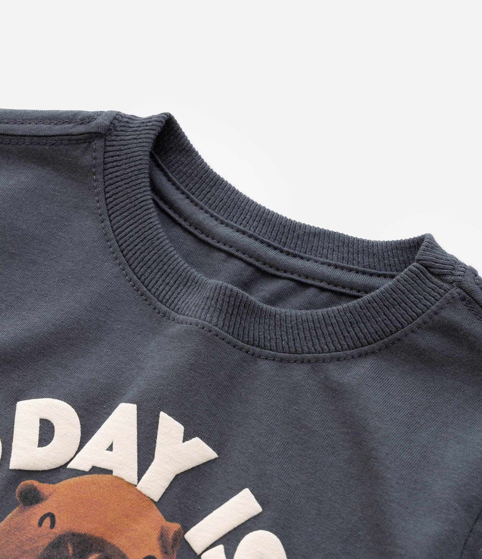 Camiseta Infantil com Estampa Capivara Capy Day - Tam 1 a 6 Anos Cinza 5