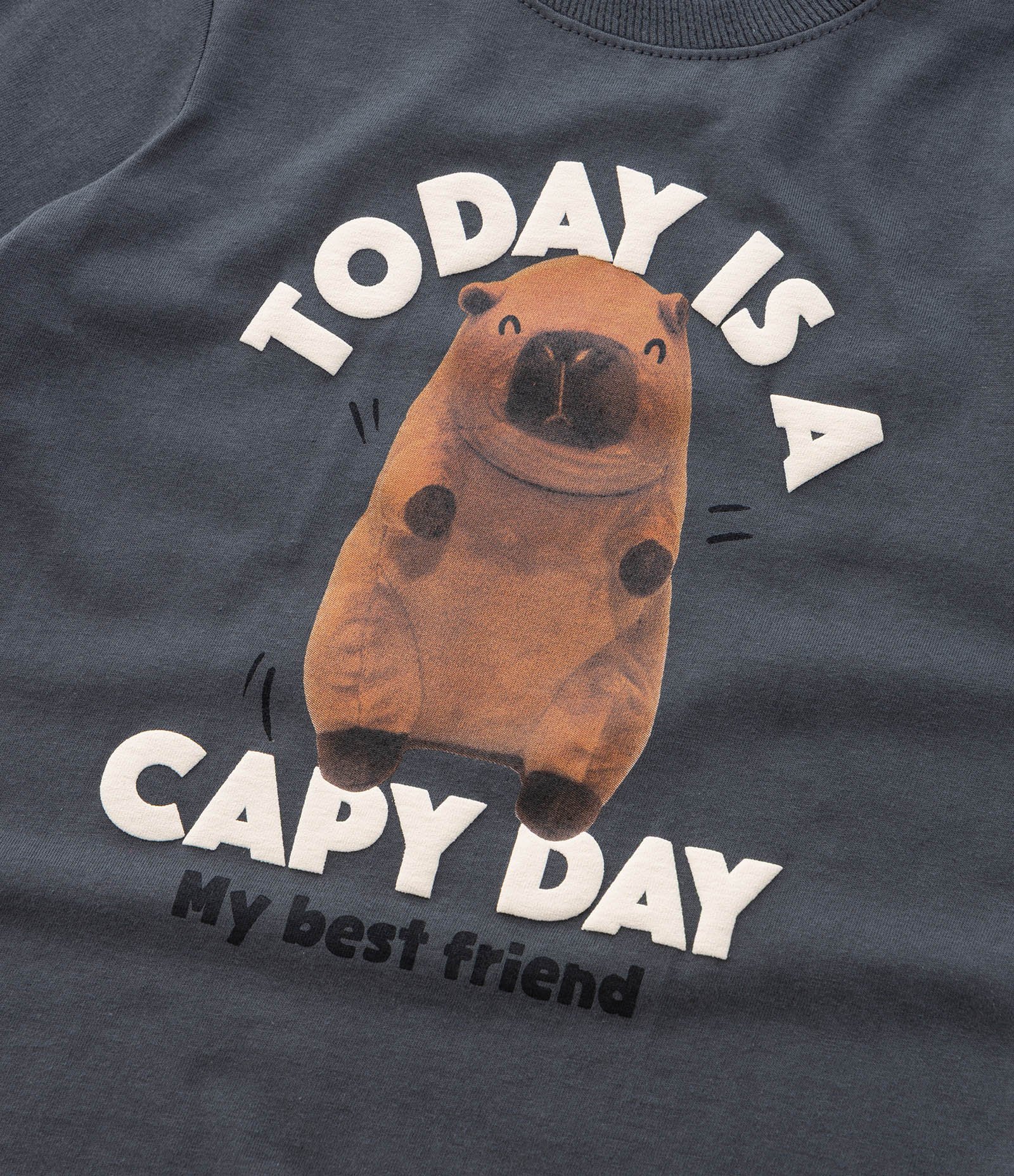 Camiseta Infantil com Estampa Capivara Capy Day - Tam 1 a 6 Anos Cinza 6