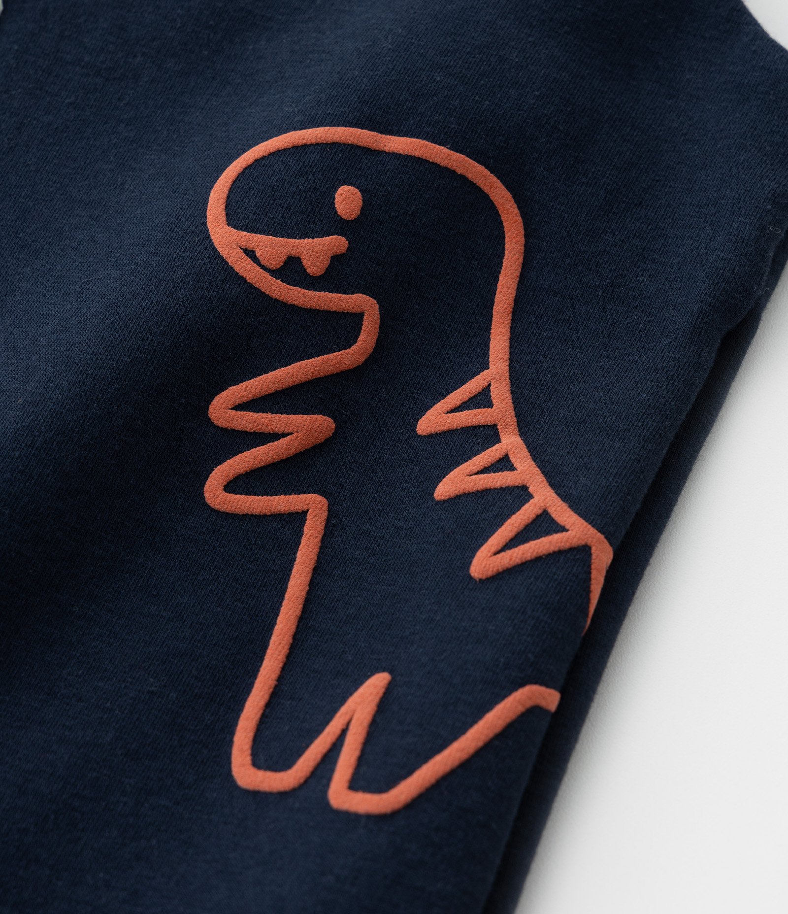 Conjunto Infantil com Estampa Dinossauros - Tam 0 a 18 meses Bege/Azul 7