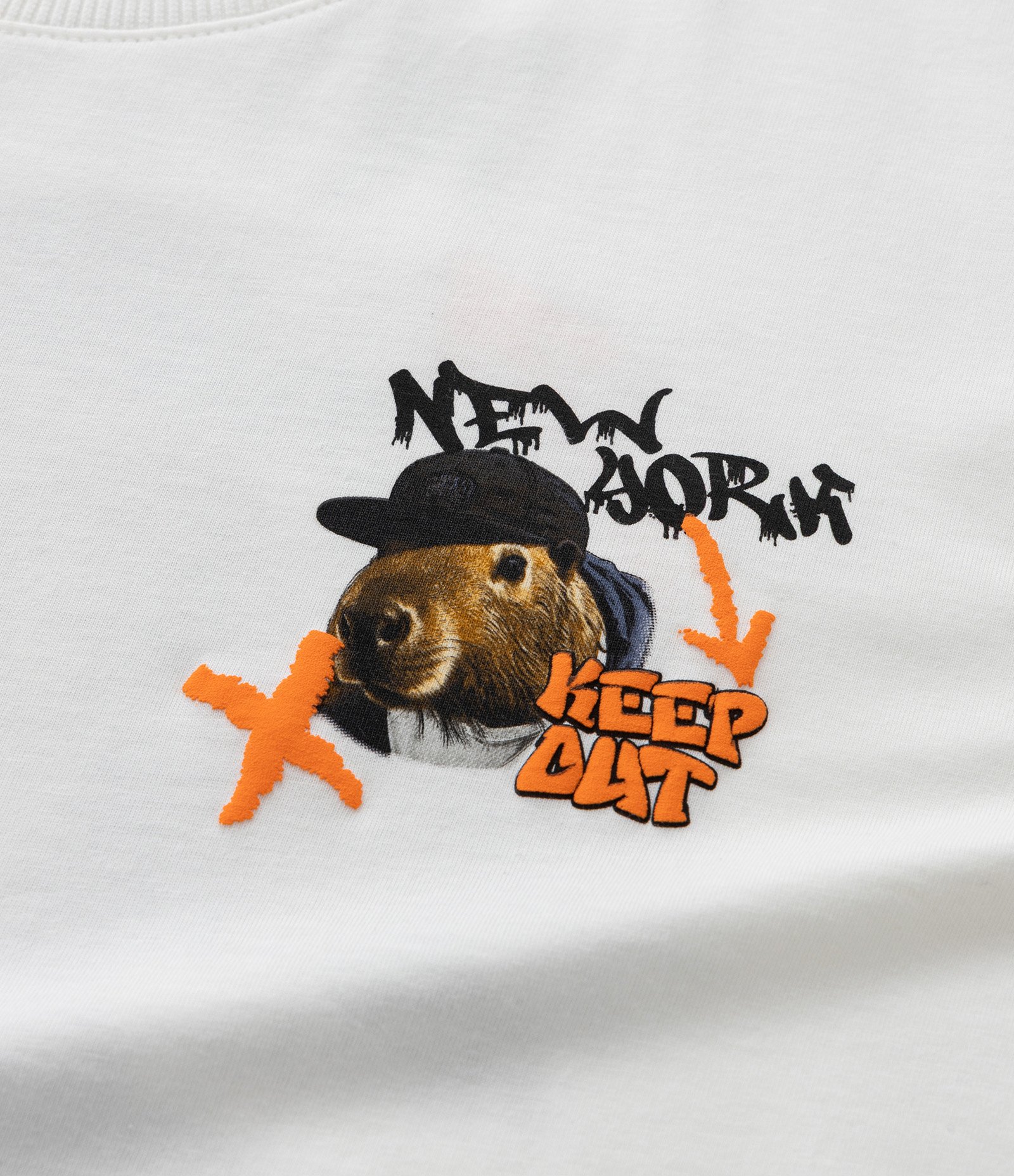 Camiseta Oversized Infantil com Estampa Capivara Skatista - Tam 5 a 14 Anos Branco 5