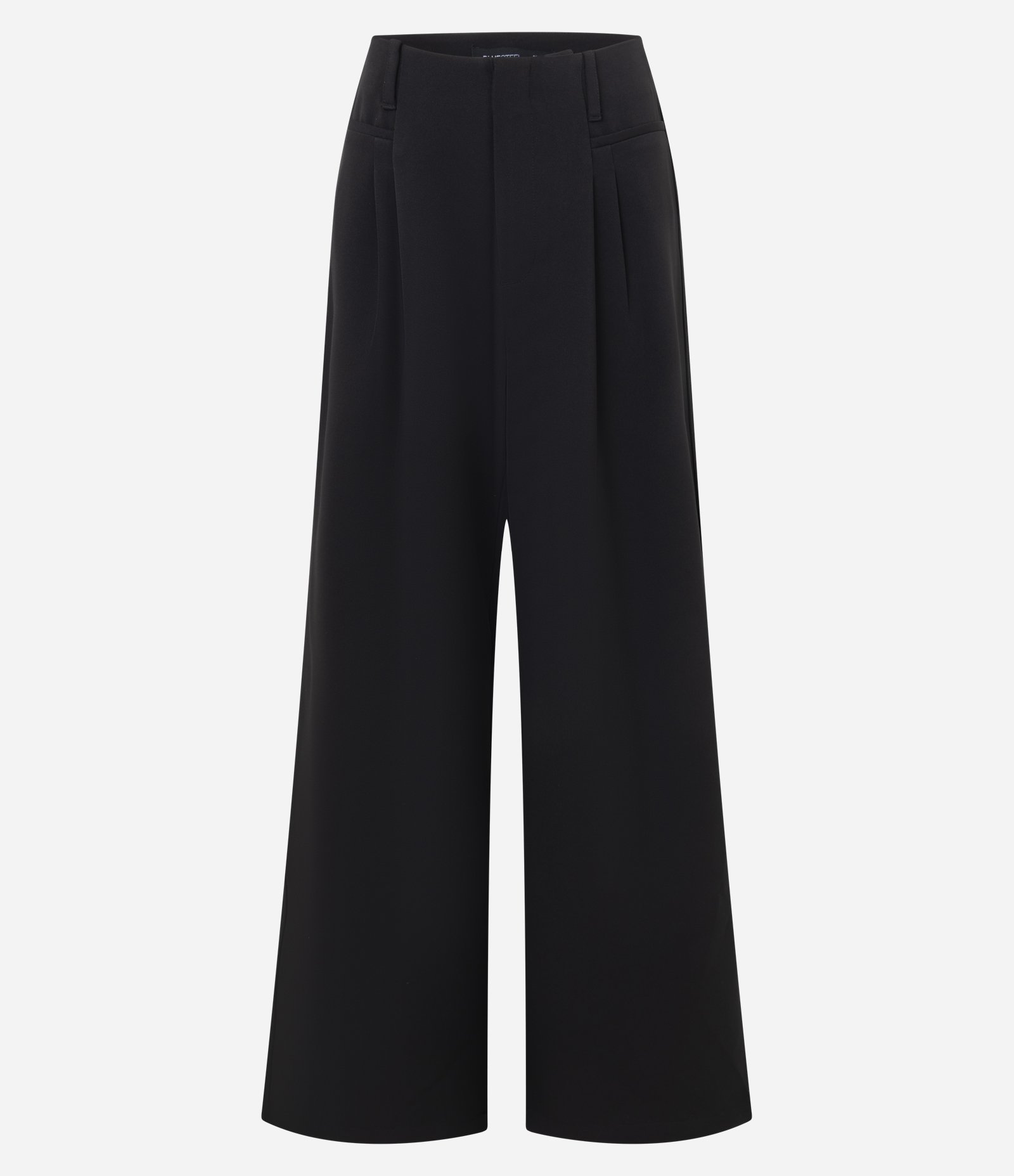 Calça Wide Leg Alfaiatada com Pregas Duplas Preto 2