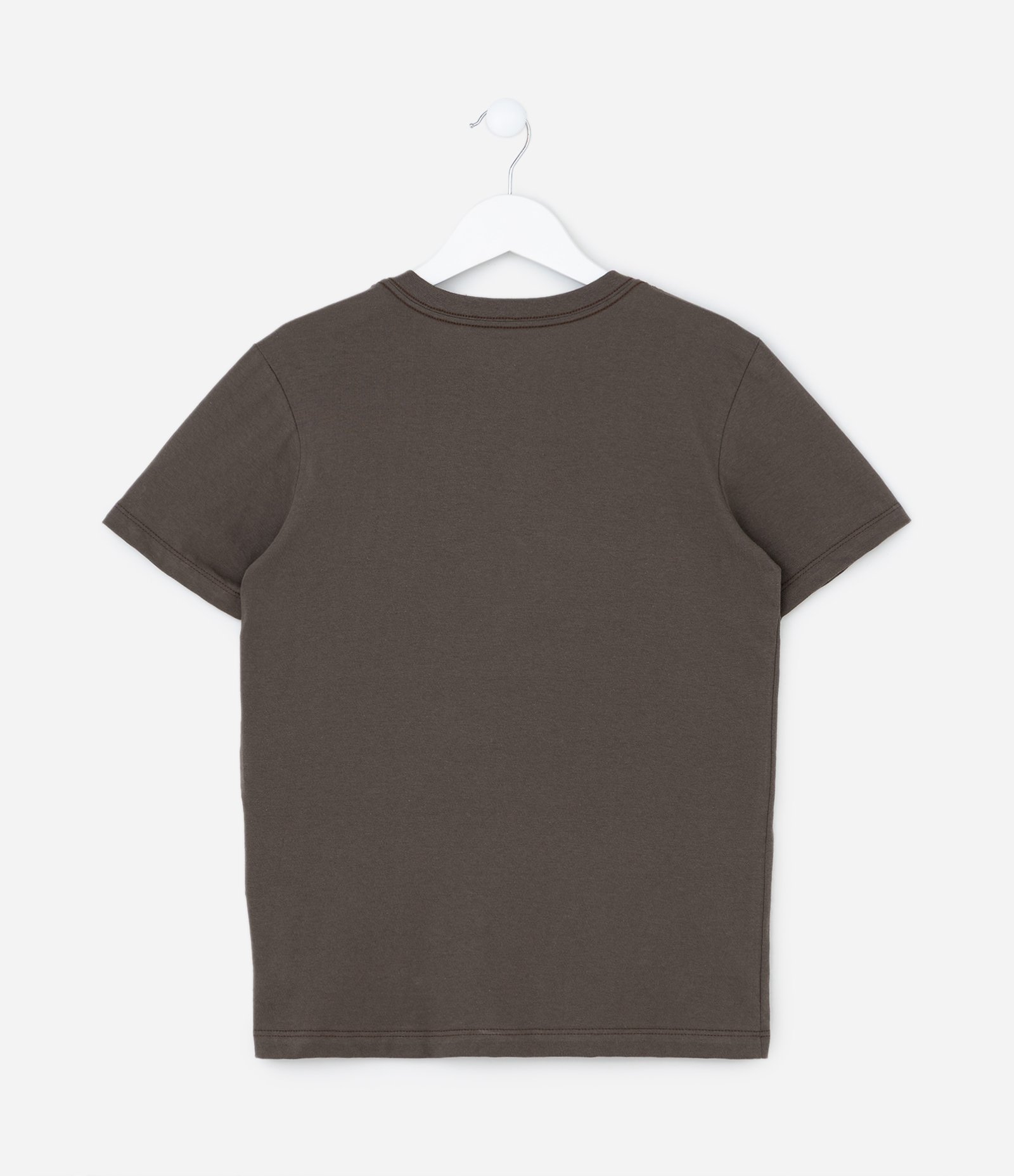 Camiseta Infantil com Estampa Urso - Tam 5 a 14 Anos Verde 2