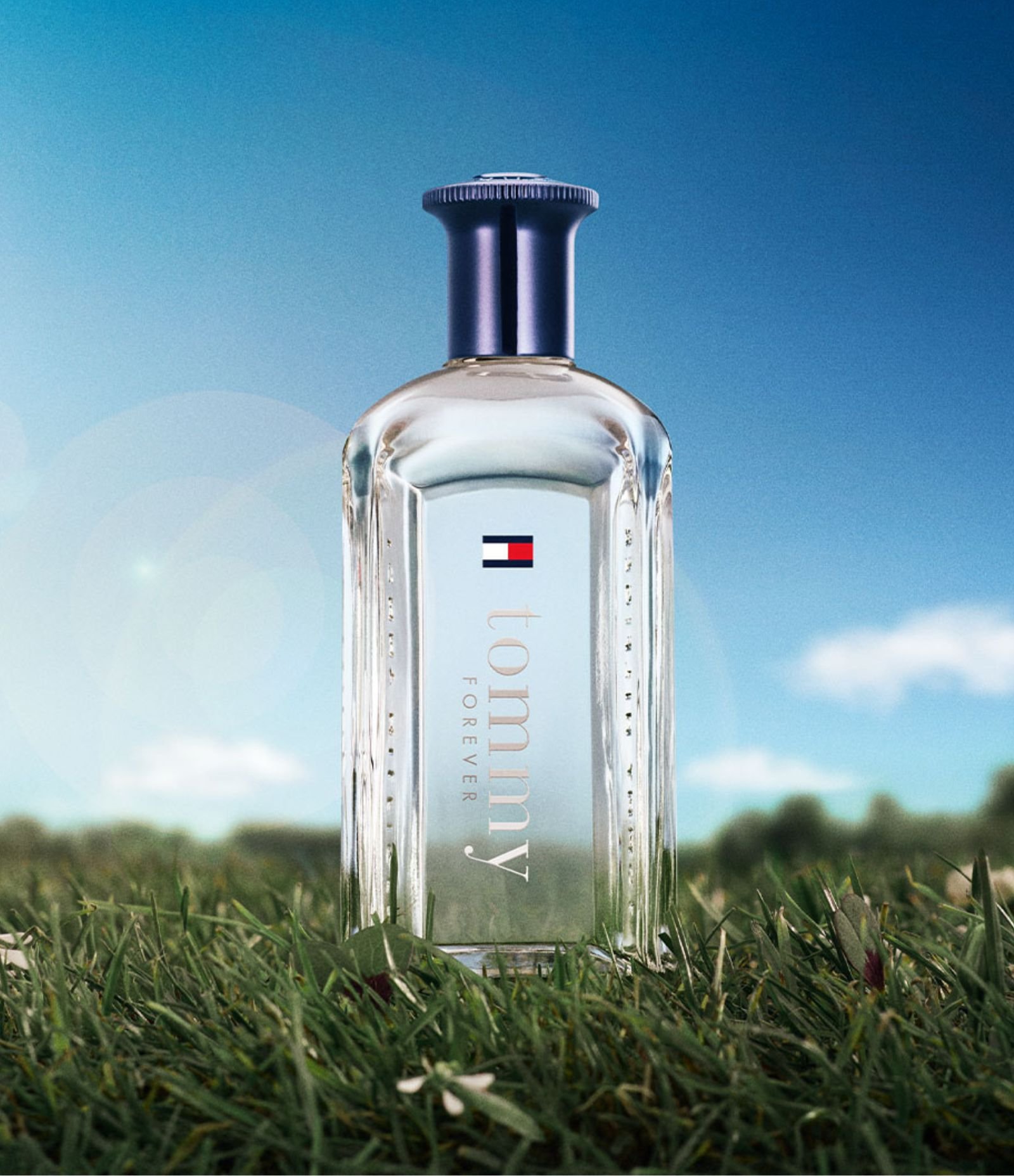 Perfume Tommy Hilfiger Tommy Forever Eau de Toilette Masculino 3