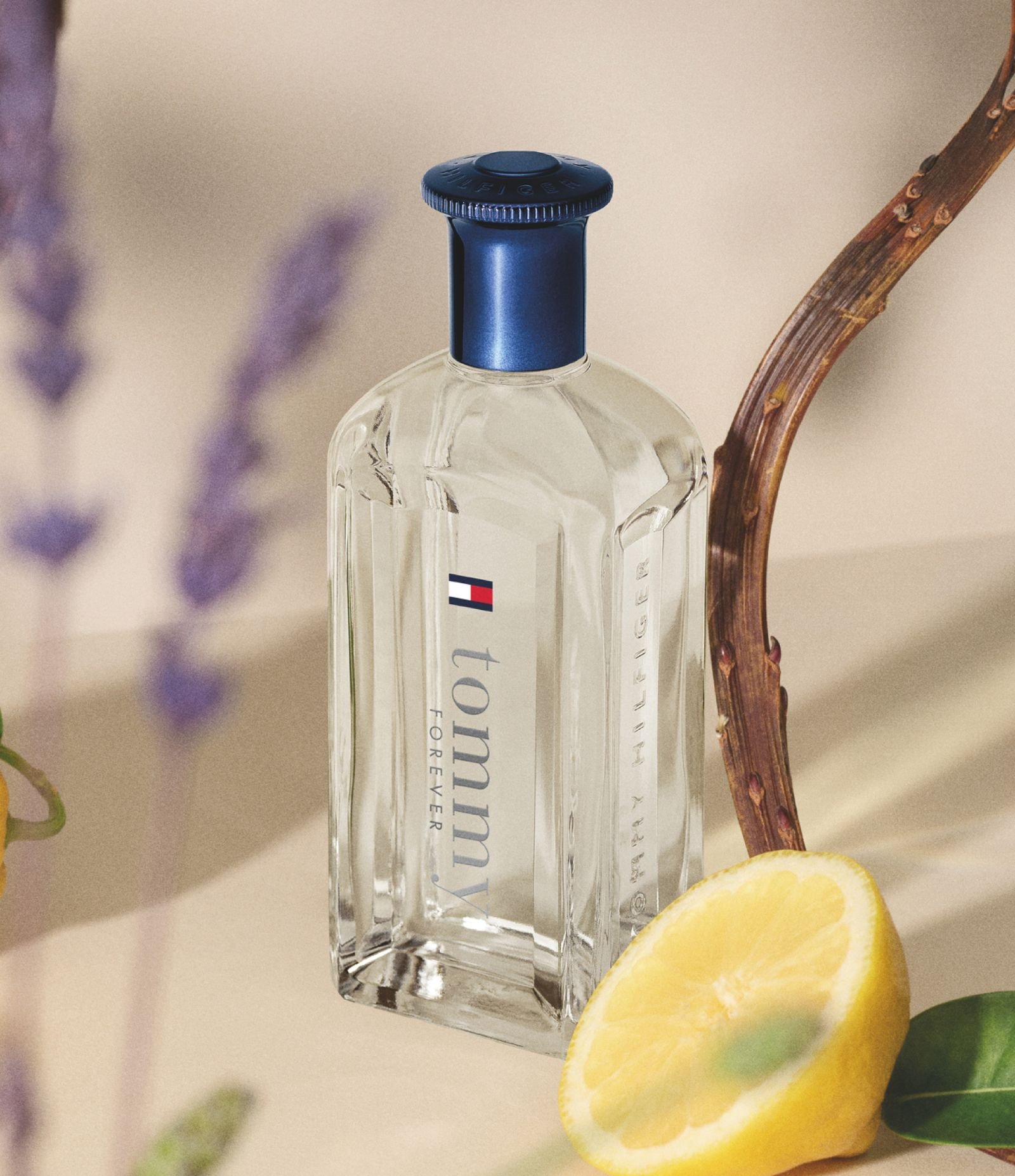 Perfume Tommy Hilfiger Tommy Forever Eau de Toilette Masculino 4