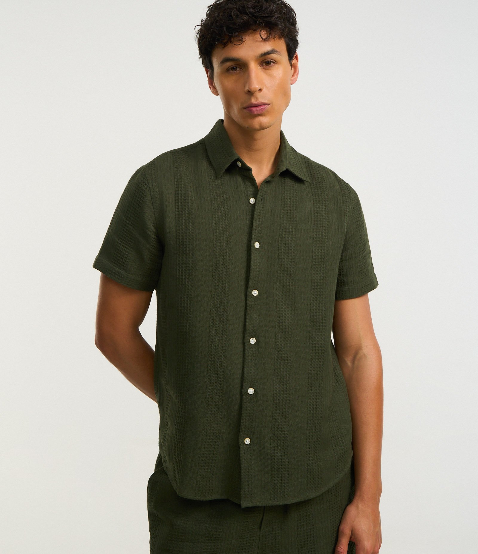 Camisa Regular em Algodão com Textura Quadriculada Vertical Verde 1