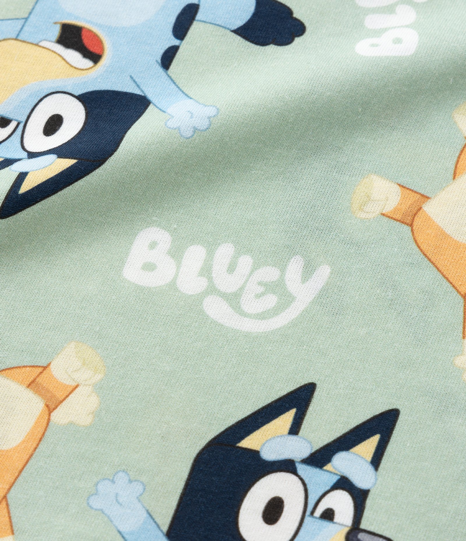 Pijama Curto Infantil com Estampa Bluey Verde 6