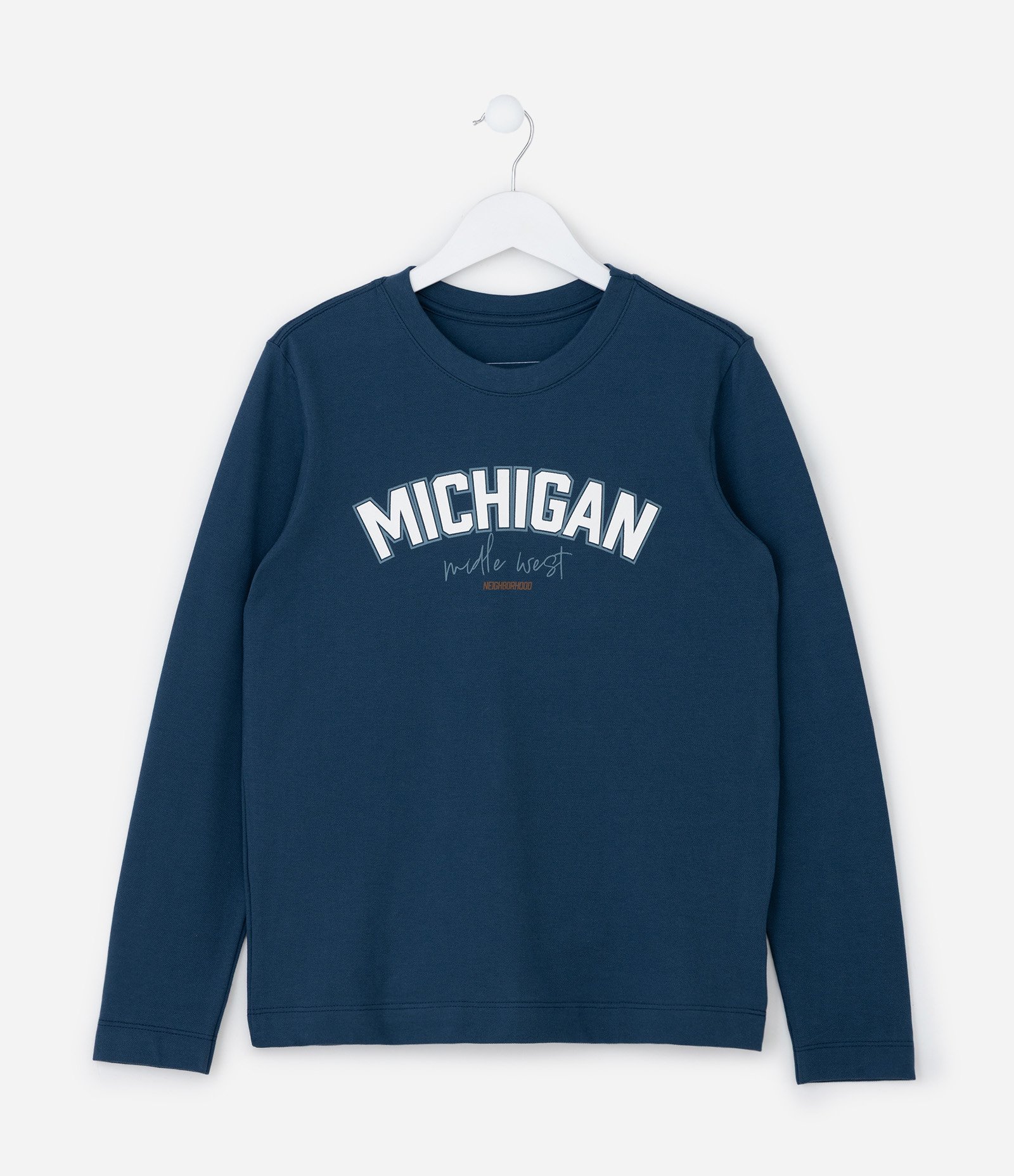 Camiseta Infantil com Lettering Michigan - Tam 5 a 14 Anos Azul 1