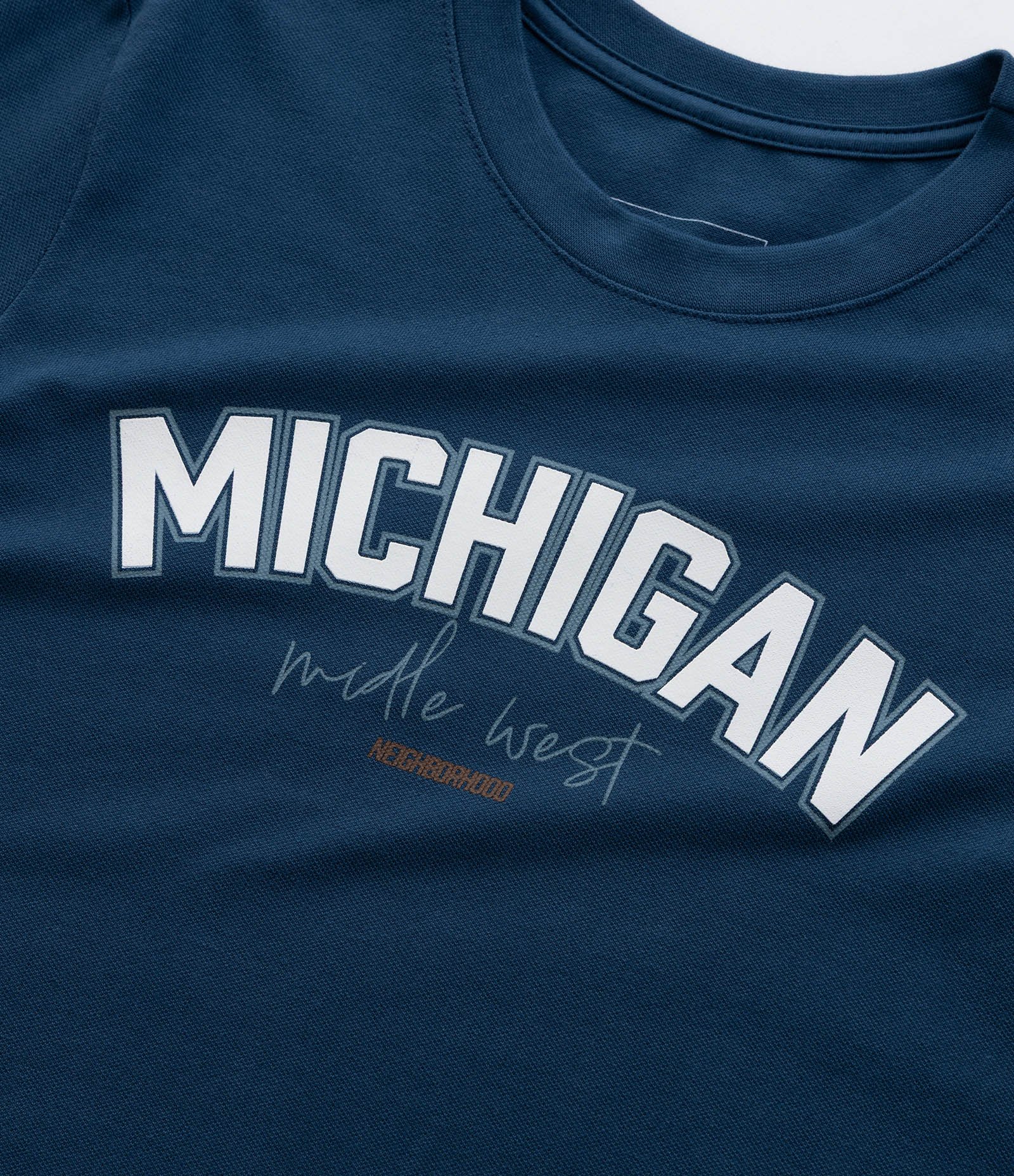 Camiseta Infantil com Lettering Michigan - Tam 5 a 14 Anos Azul 5