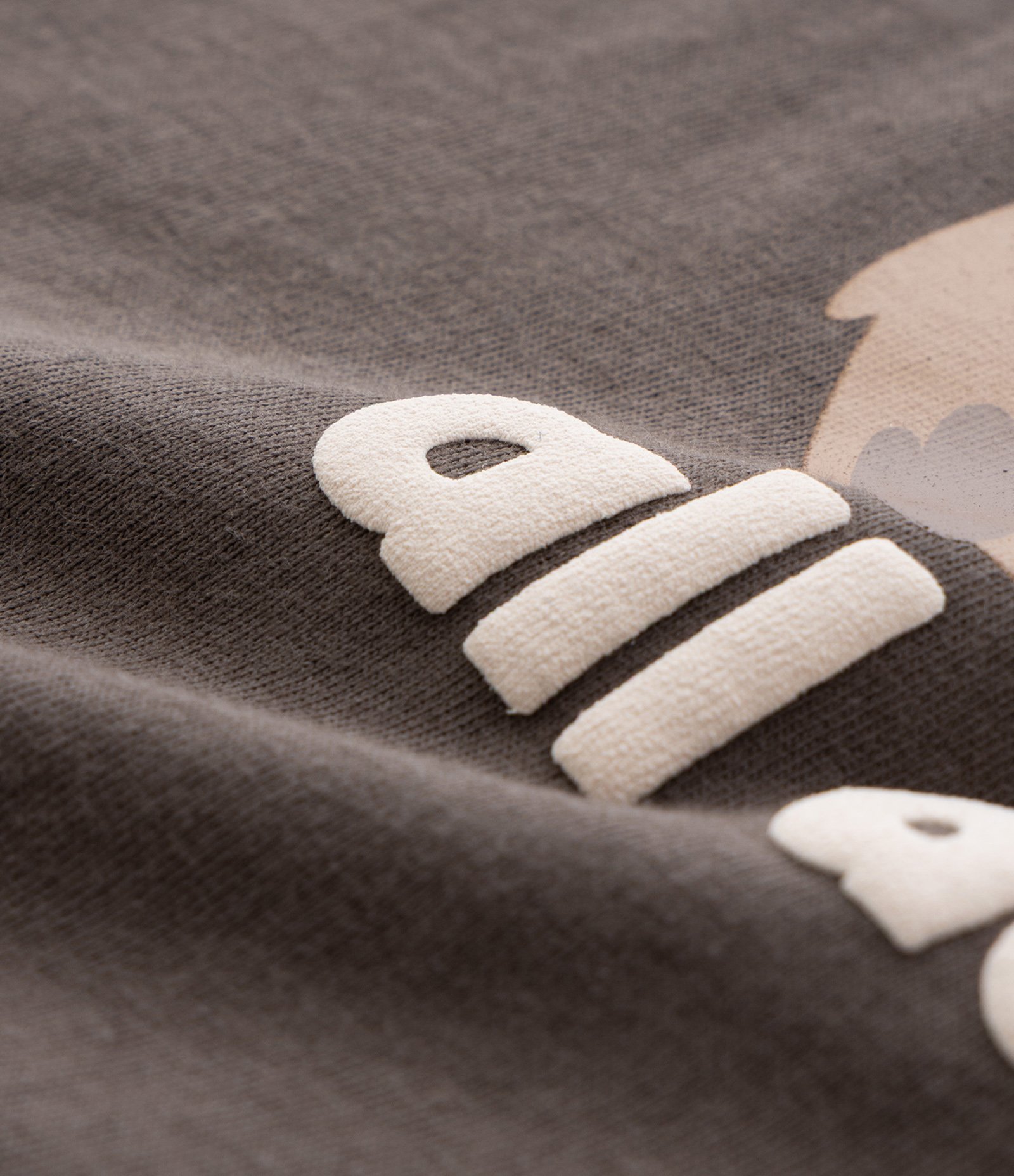 Camiseta Infantil com Estampa Capivara Be Cappy - Tam 1 a 6 Anos Marrom 3