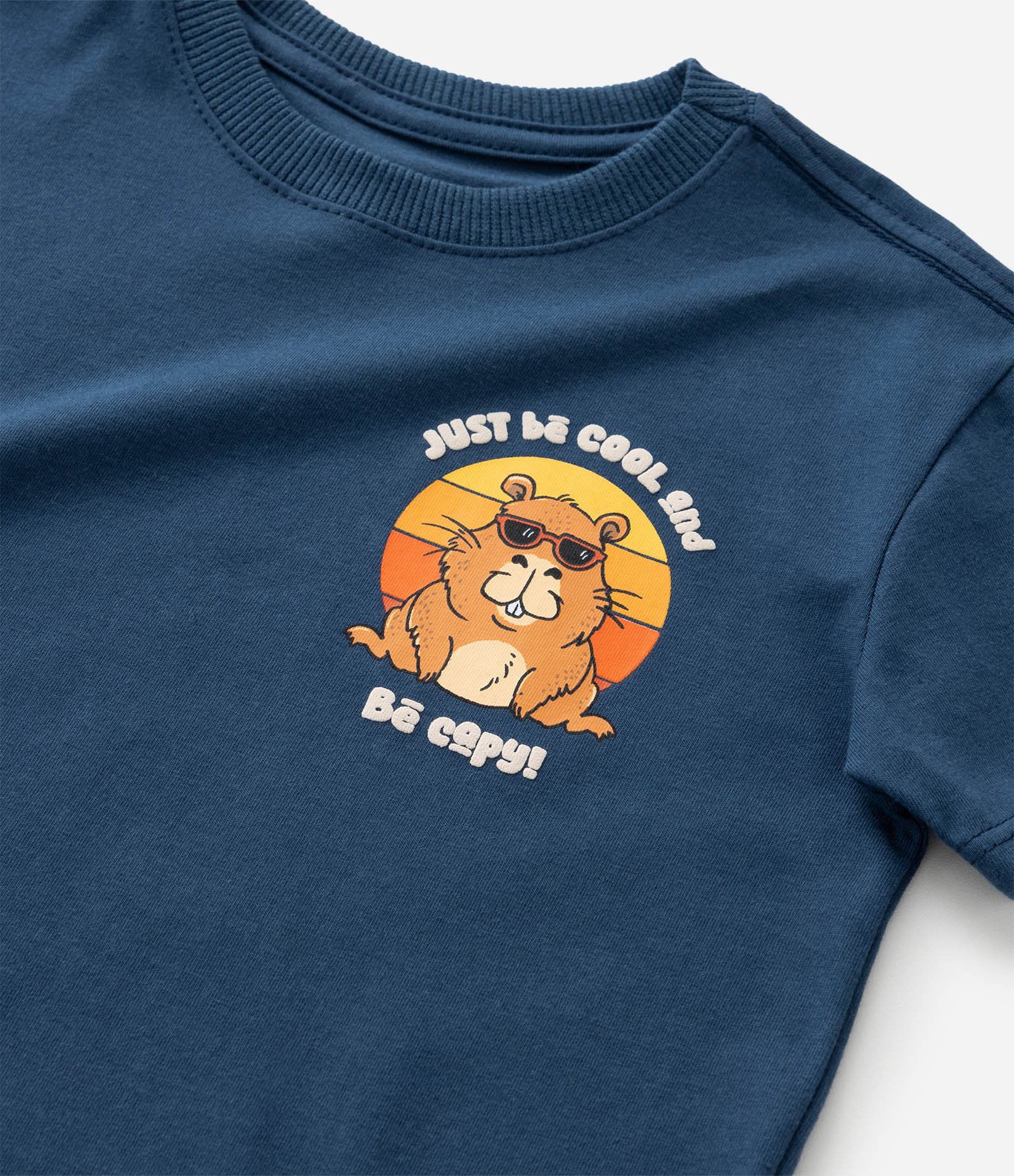 Conjunto Infantil em Moletom com Estampa Capivara - 1 a 6 Anos Azul 10