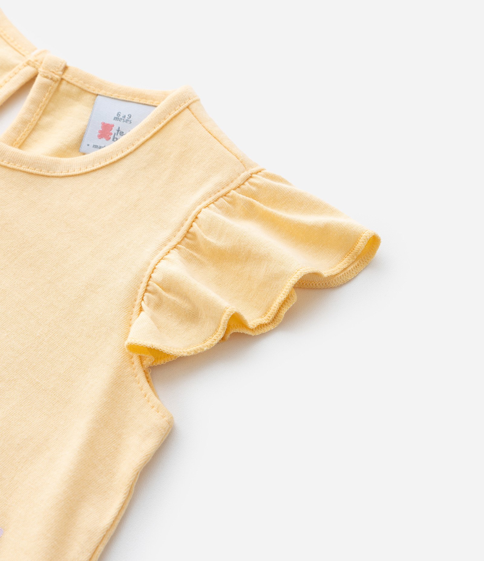 Conjunto Infantil em Algodão Estampa de Flor e Besourinha - Tam 0 A 18 Meses Amarelo/Rosa 12