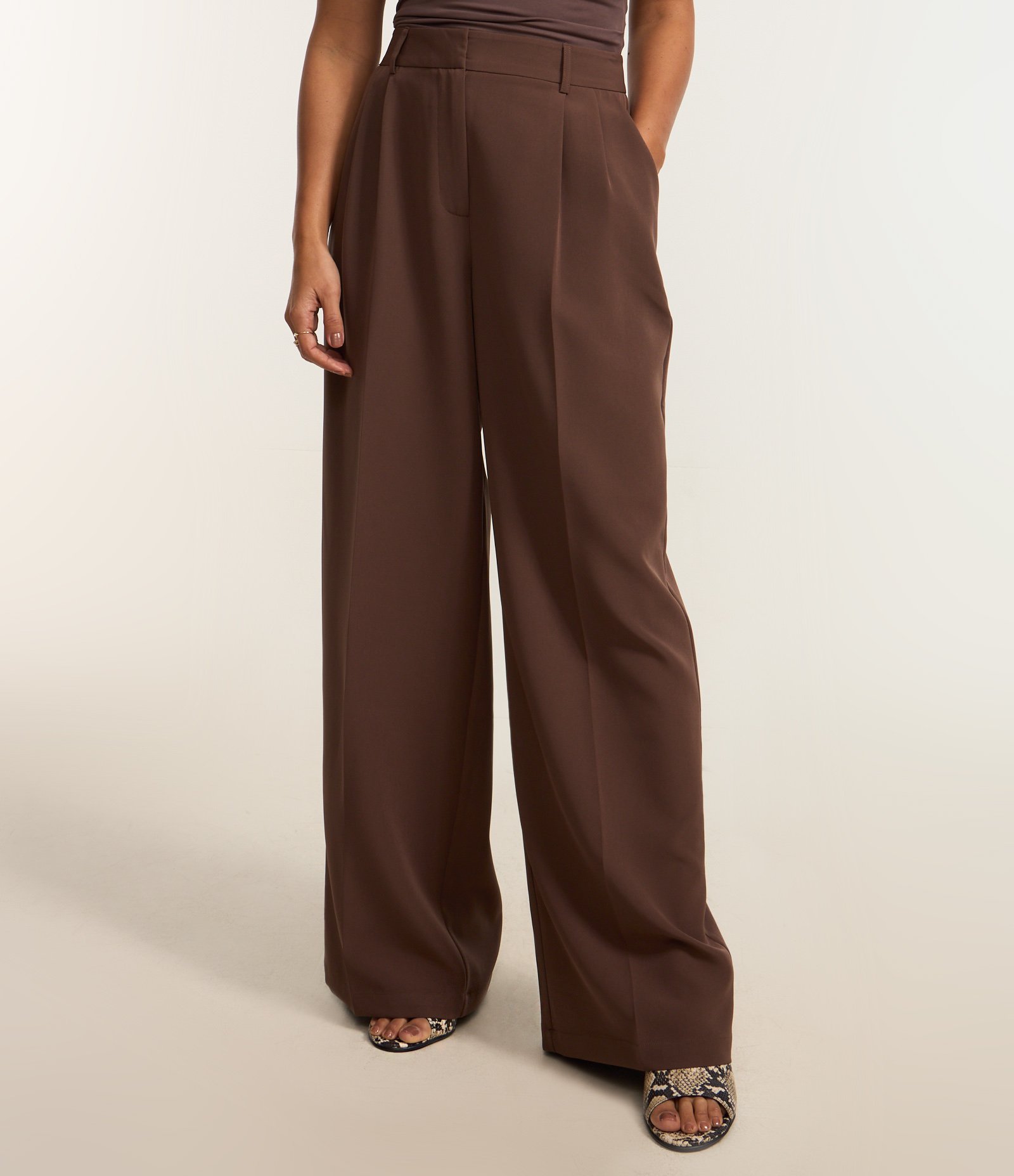 Calça Pantalona com Corte Alfaiatado e Pregas Marrom 3