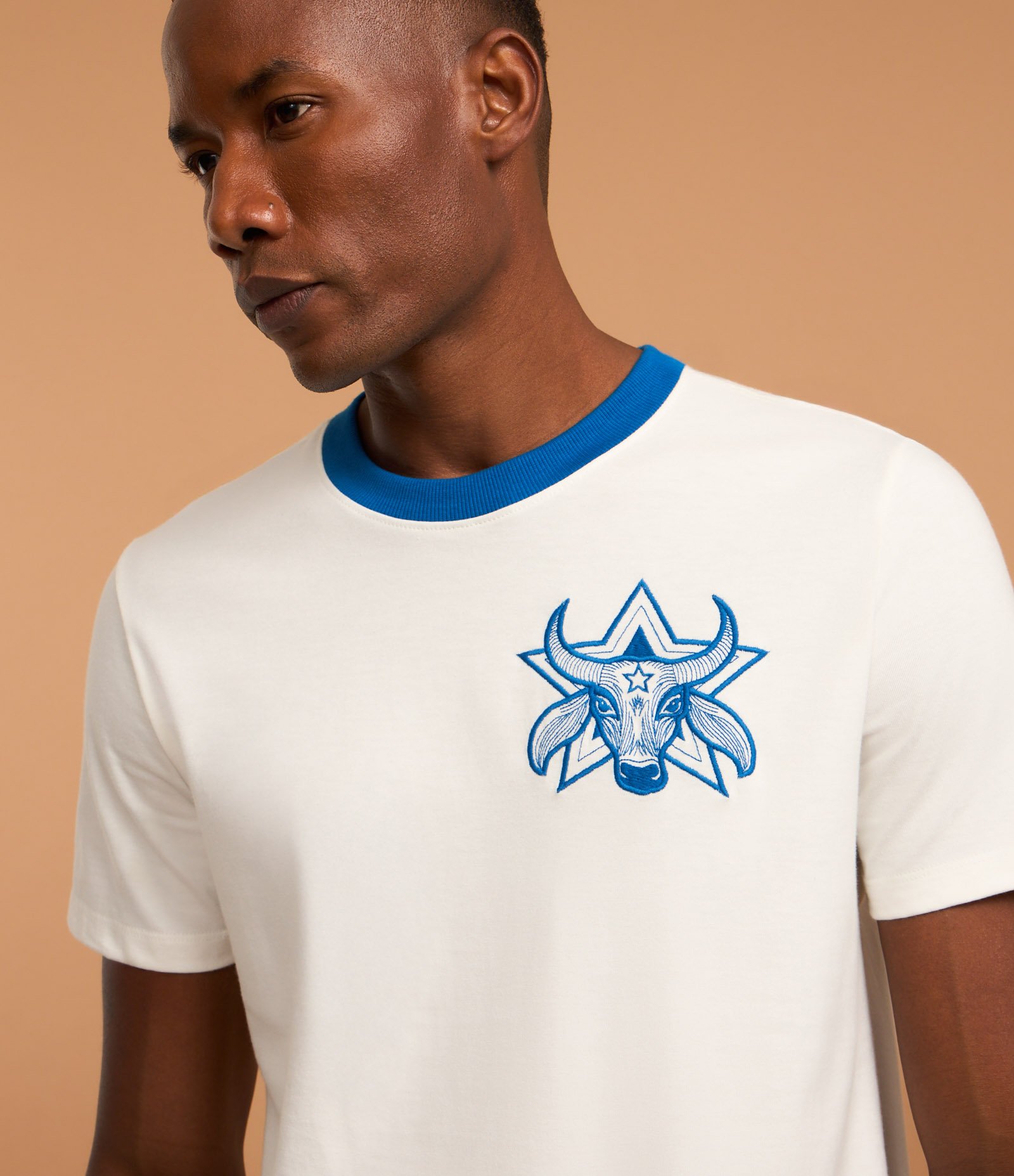 Camiseta em Algodão com Gola Contrastante e Estampa Boi Caprichoso Azul 5